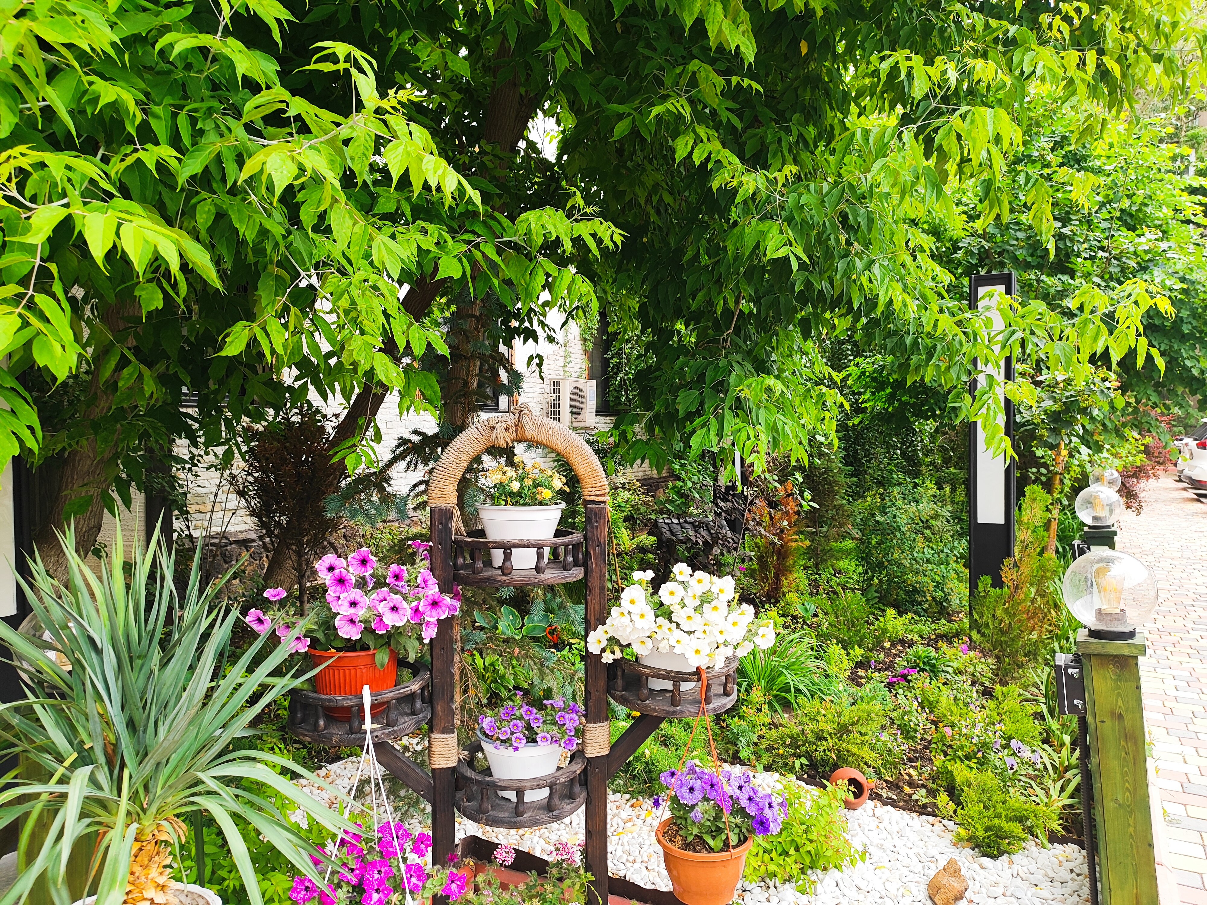 Фото Метелица