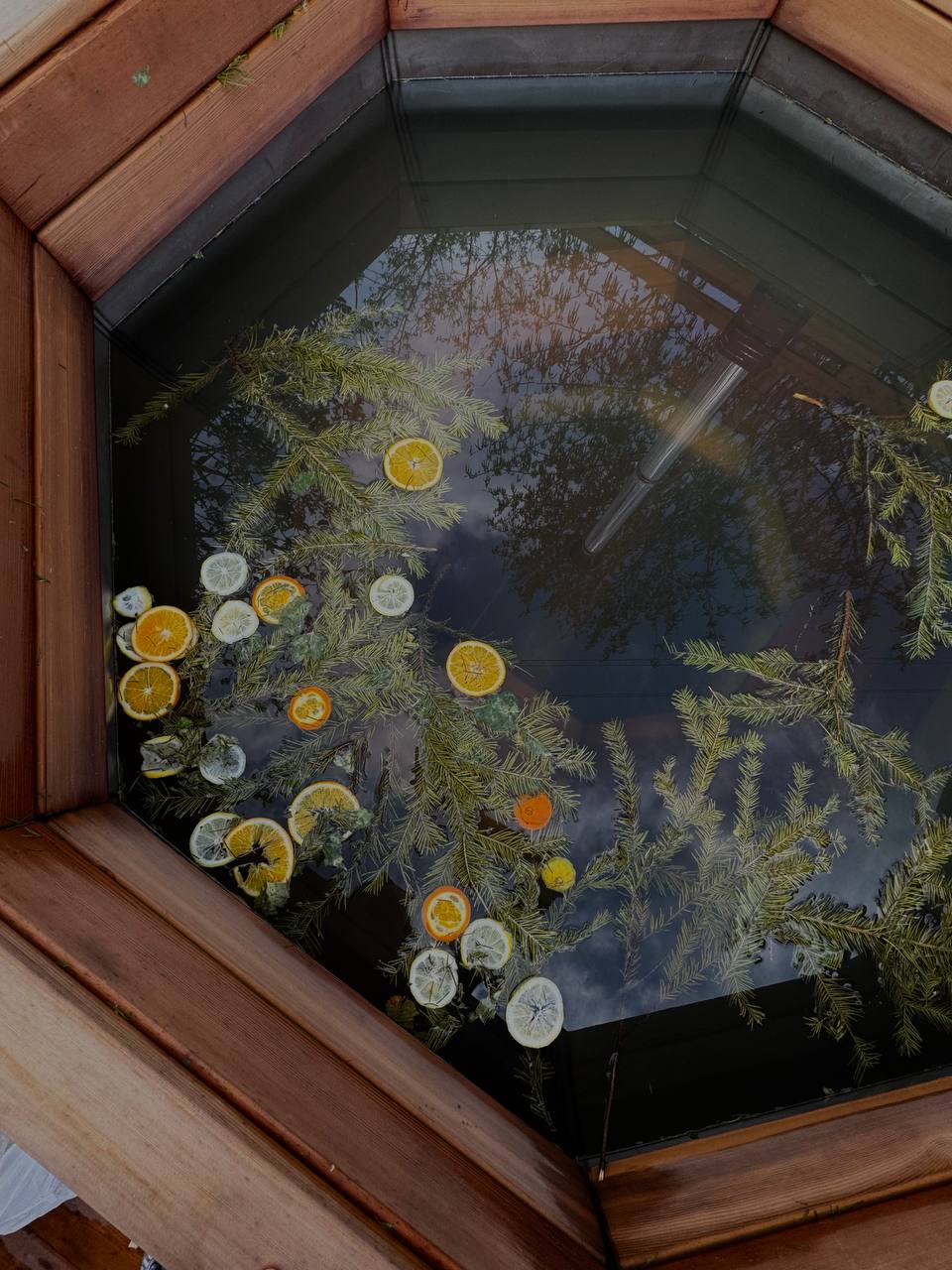 Фото Дружба