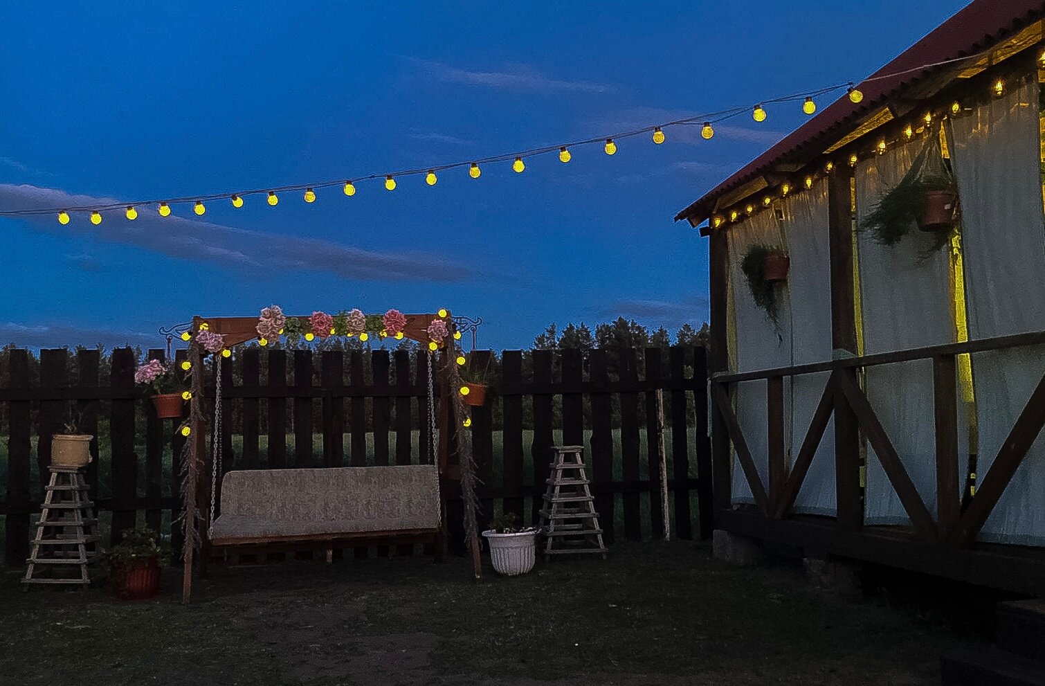 Фото Фламинго