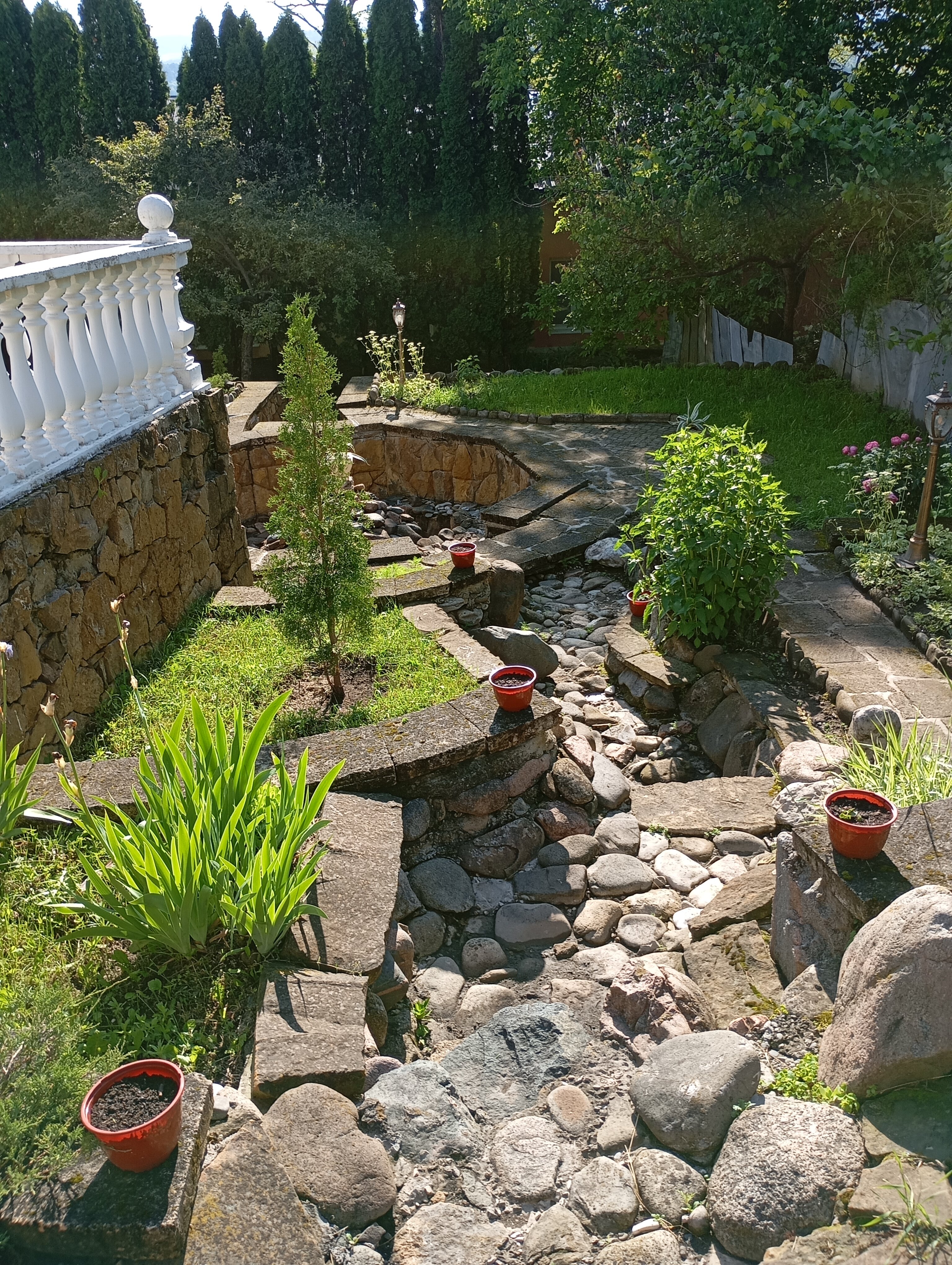 Фото Ласточка