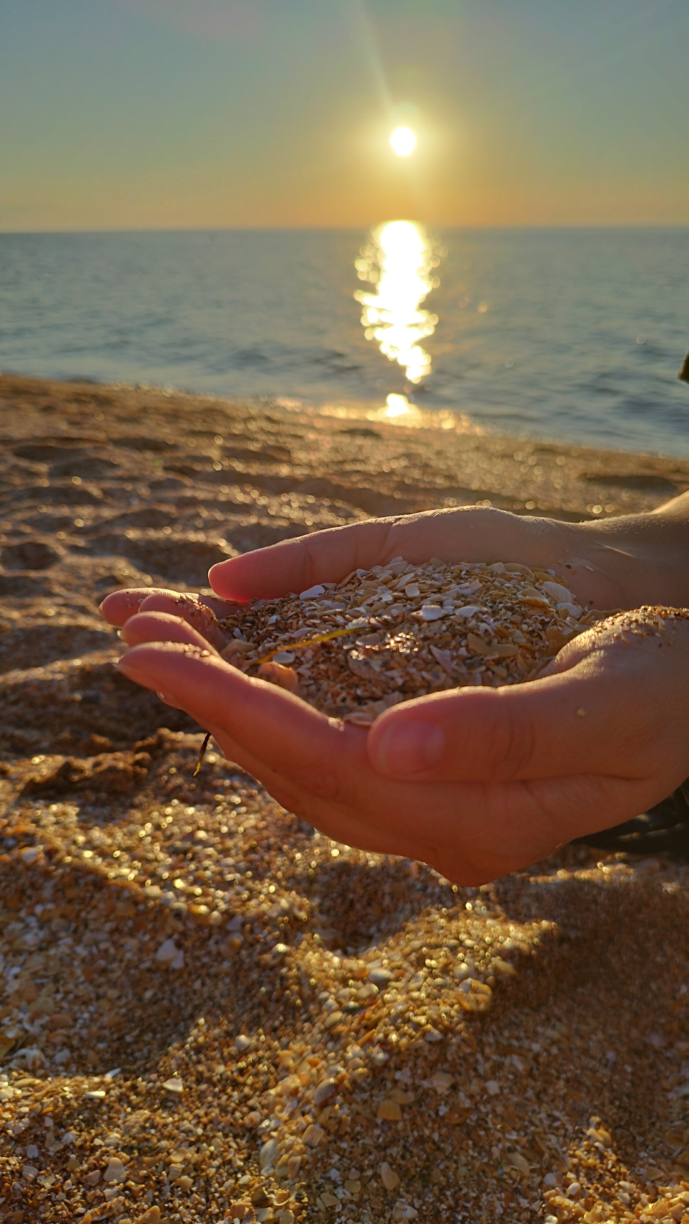 Фото Калипсо