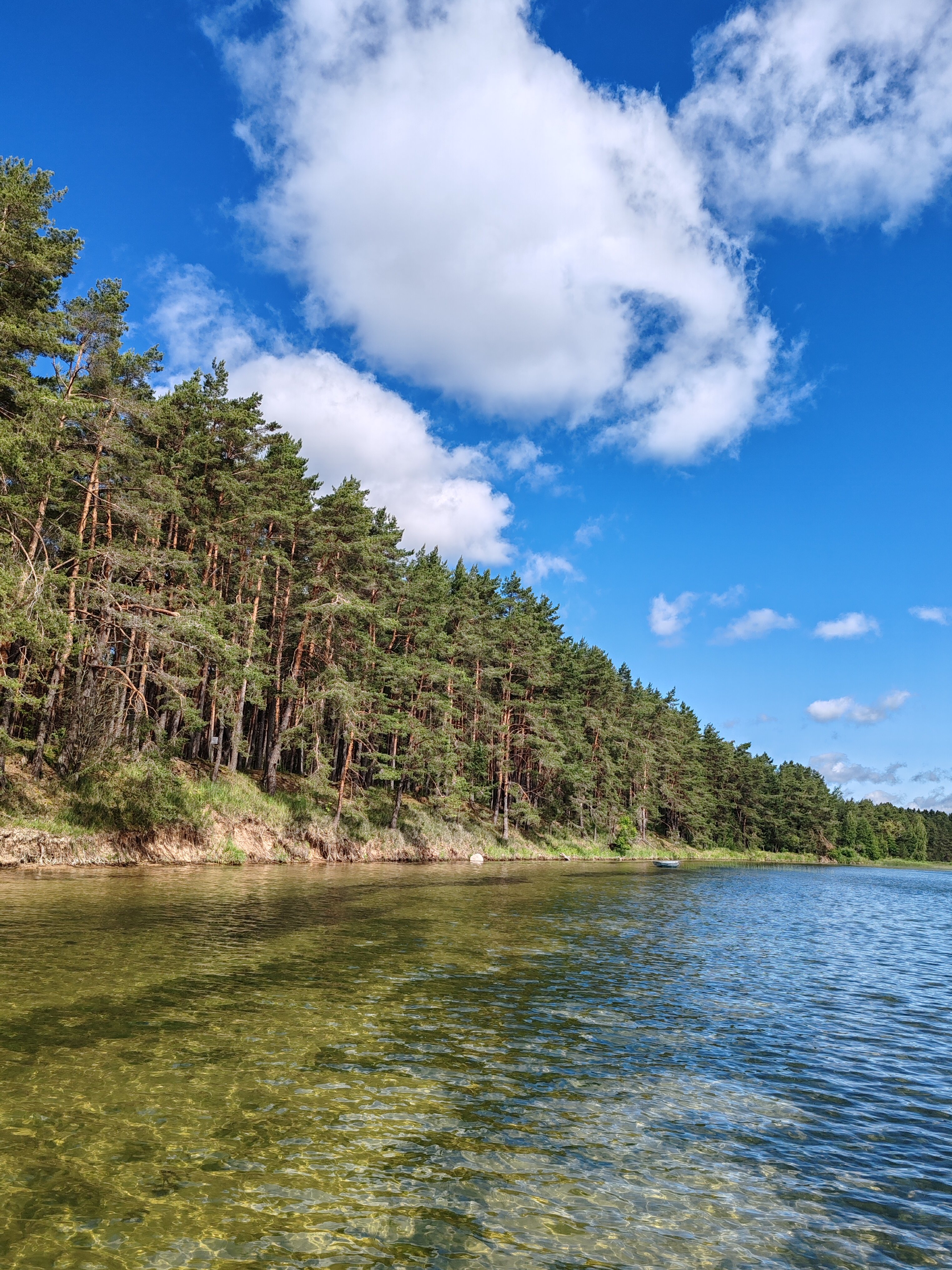 Фото Журавушка