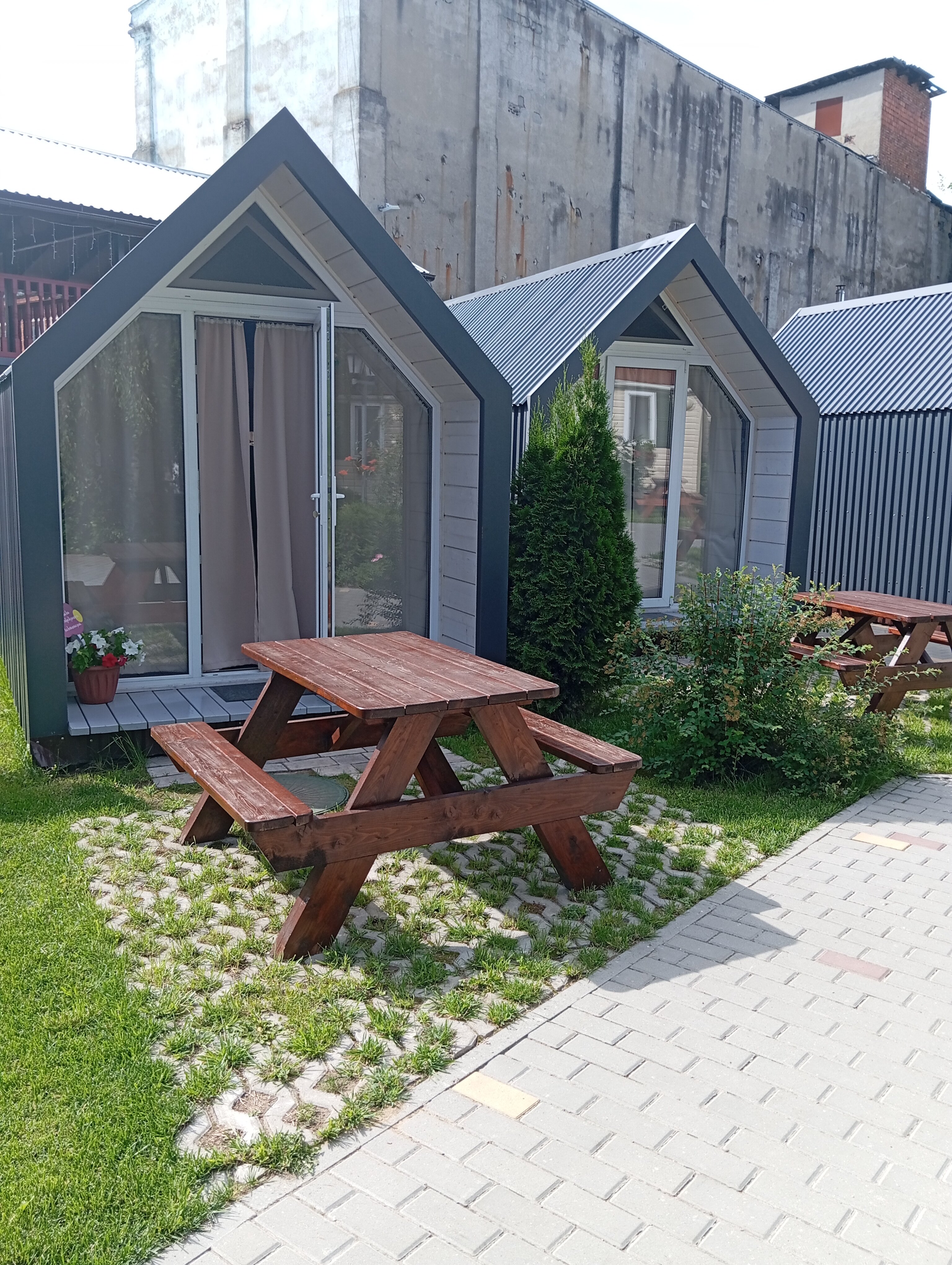 Фото Два гуся