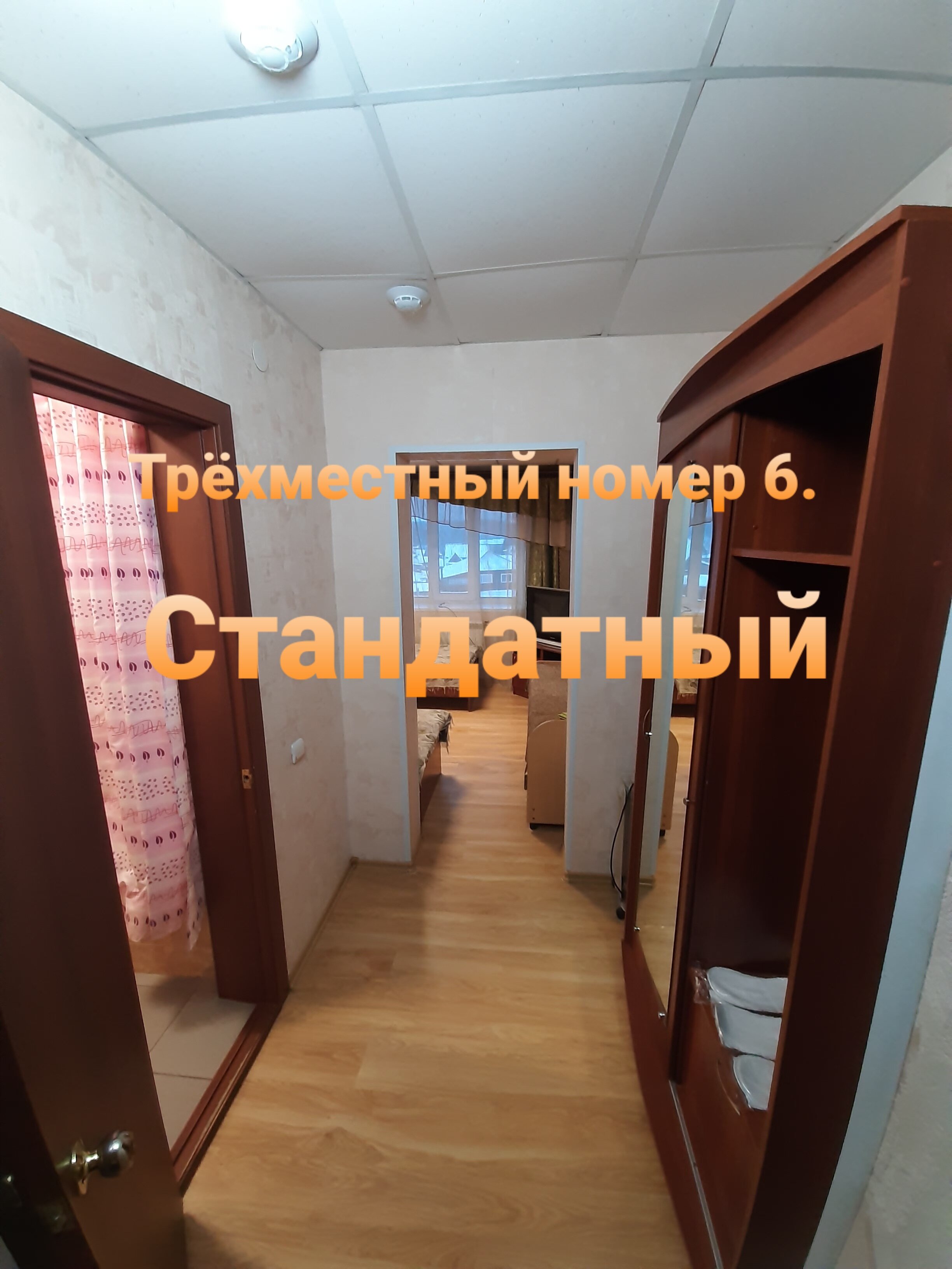 Фото Колибри