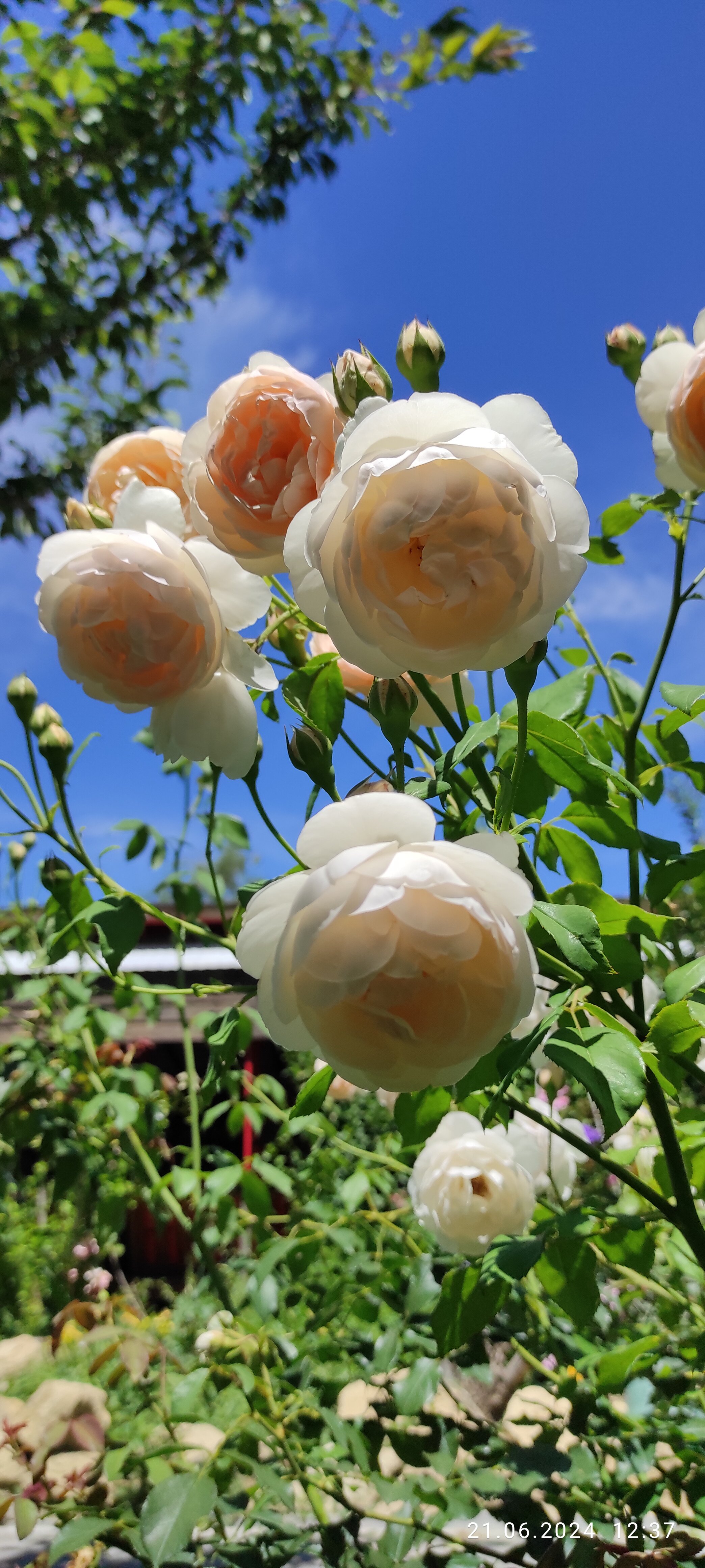 Фото Блага клуб 123