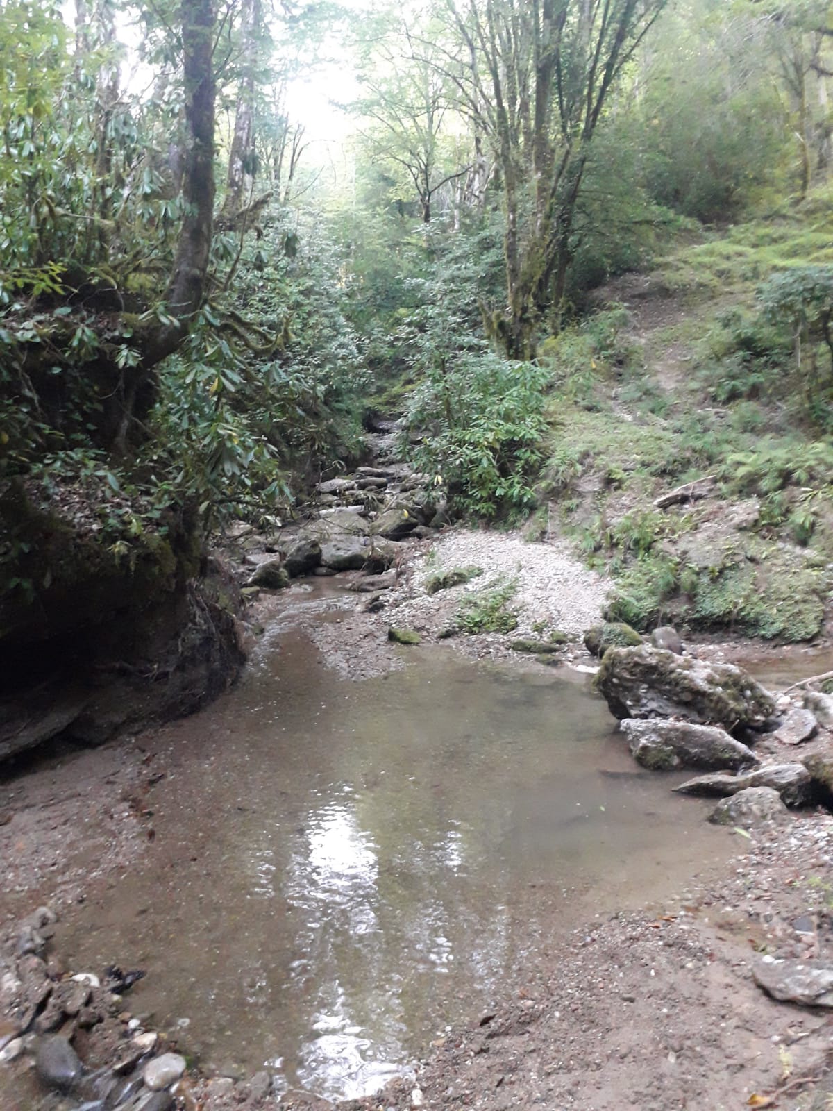 Фото Руслан и Людмила