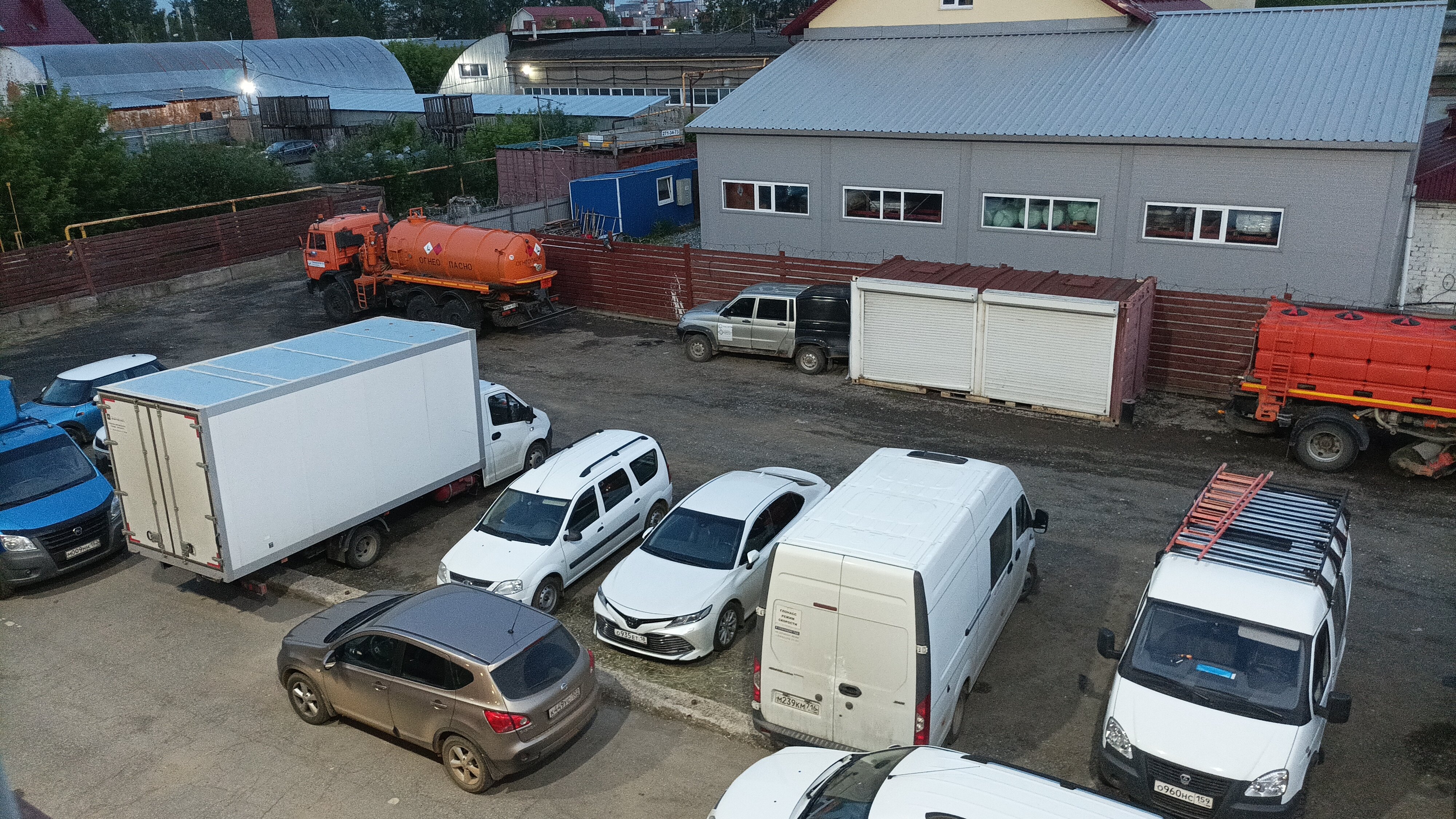 Фото Альбатрос