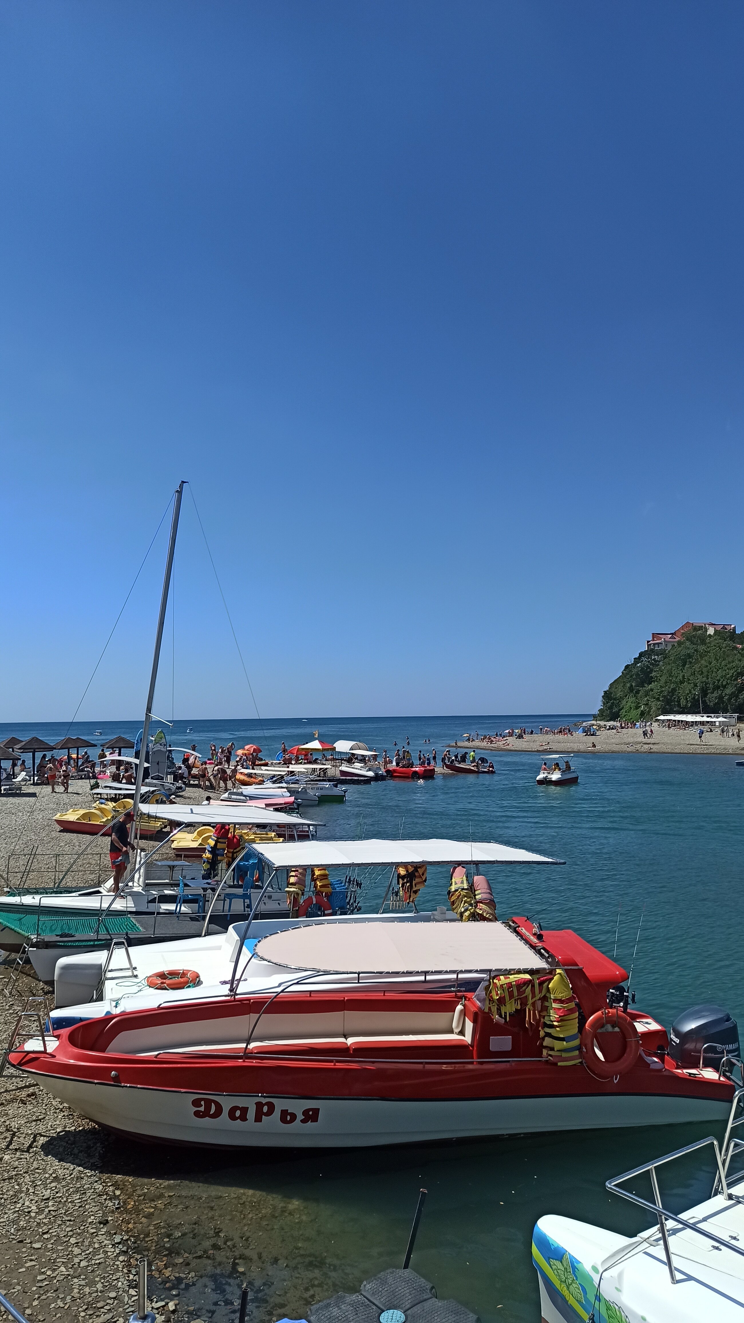 Фото Пчелка