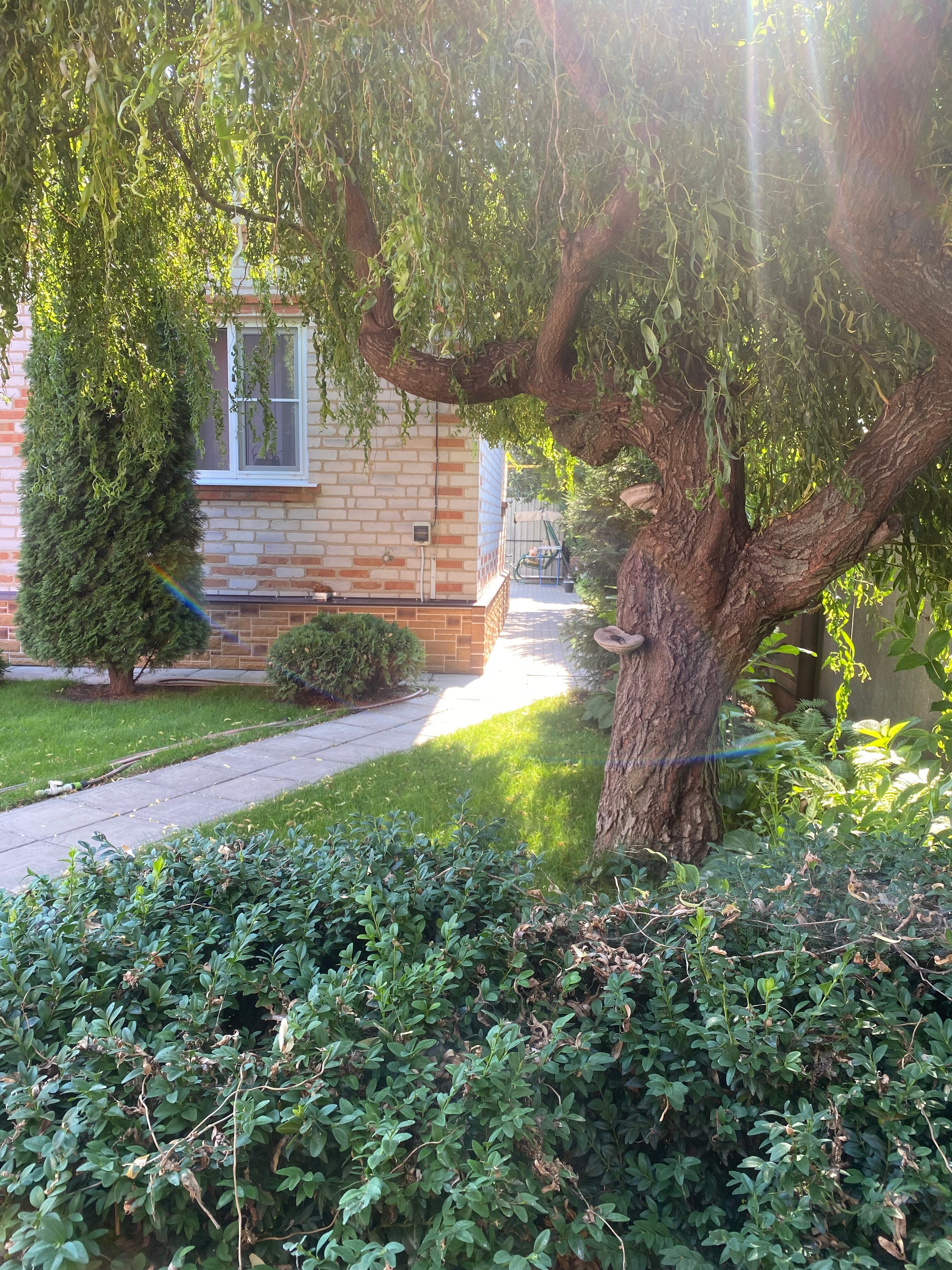 Фото Дворик