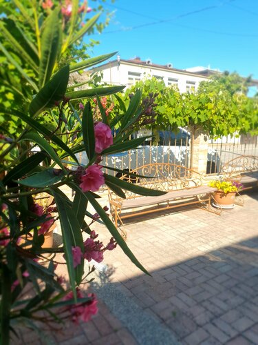 Внешний вид отеля Мини-гостиница Marco Club в Гагре, фото 4