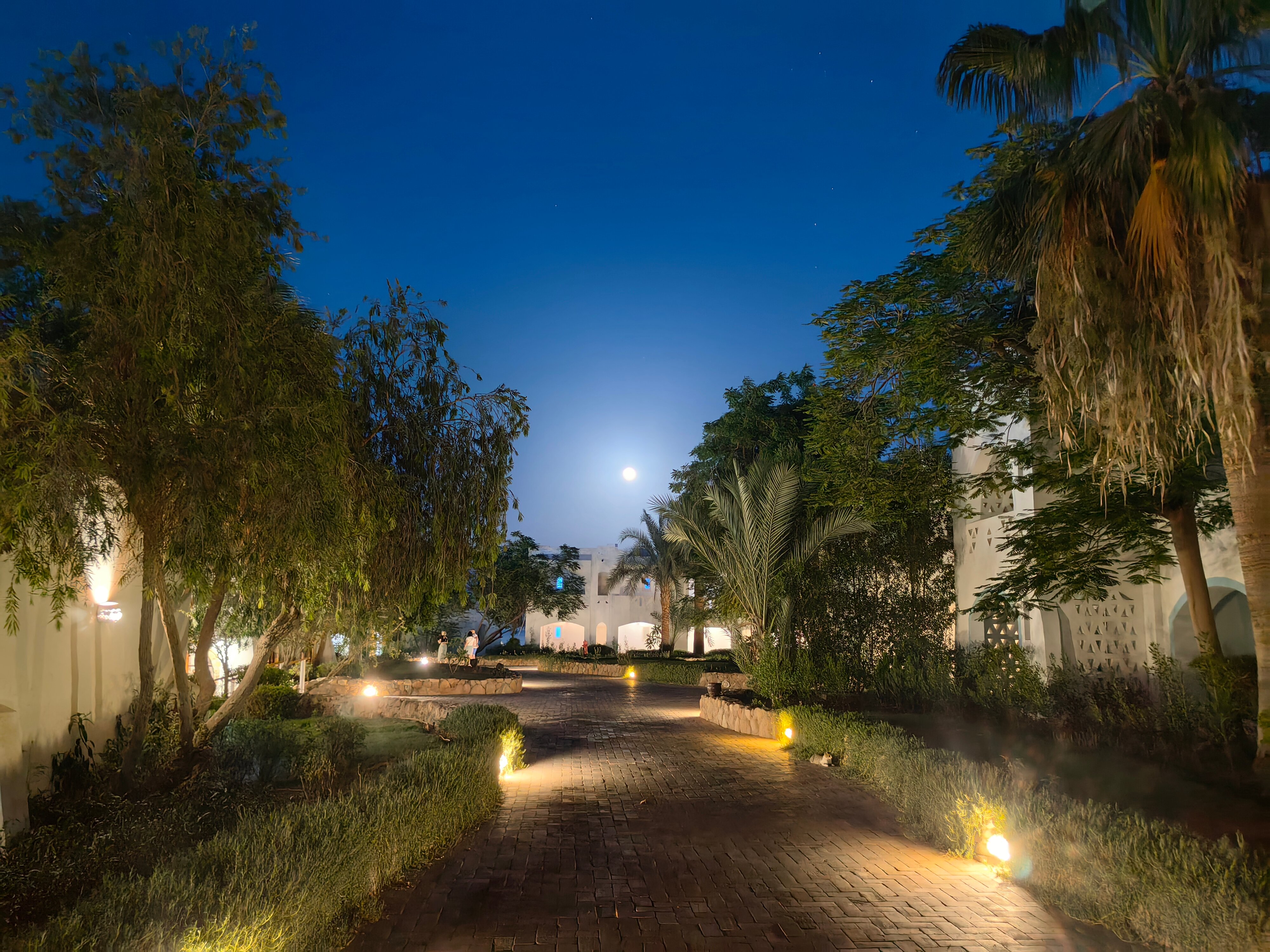 Фото Domina Coral Bay Resort, Diving, SPA & Casino