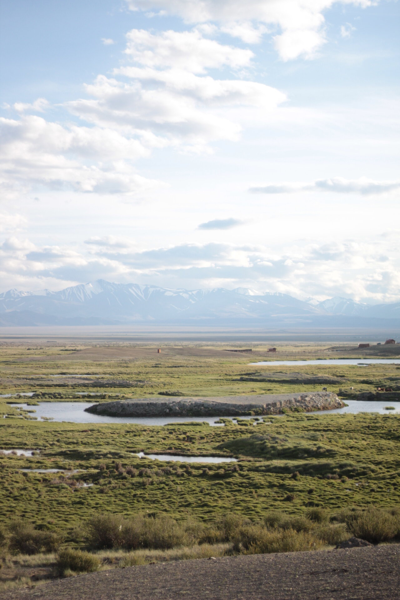 Фото Altay Steppe