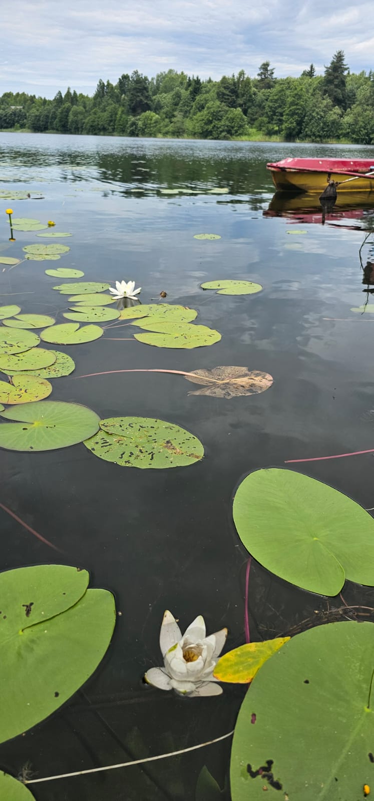 Фото На берегу