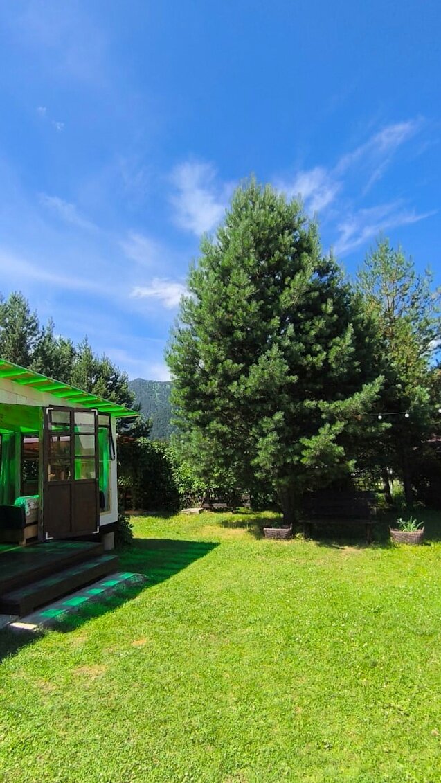 Фото Горы&Сосны