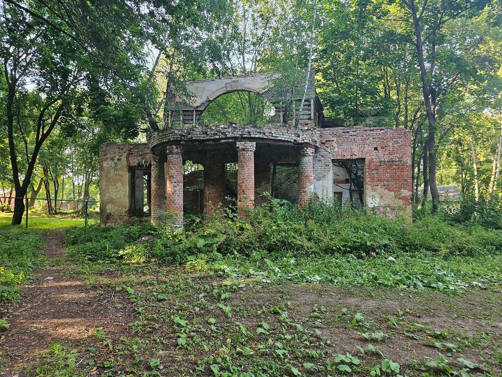 Landmark, attraction Руины усадебного дома Нарышкиных, Бутурлиных, Kaluga Oblast, photo