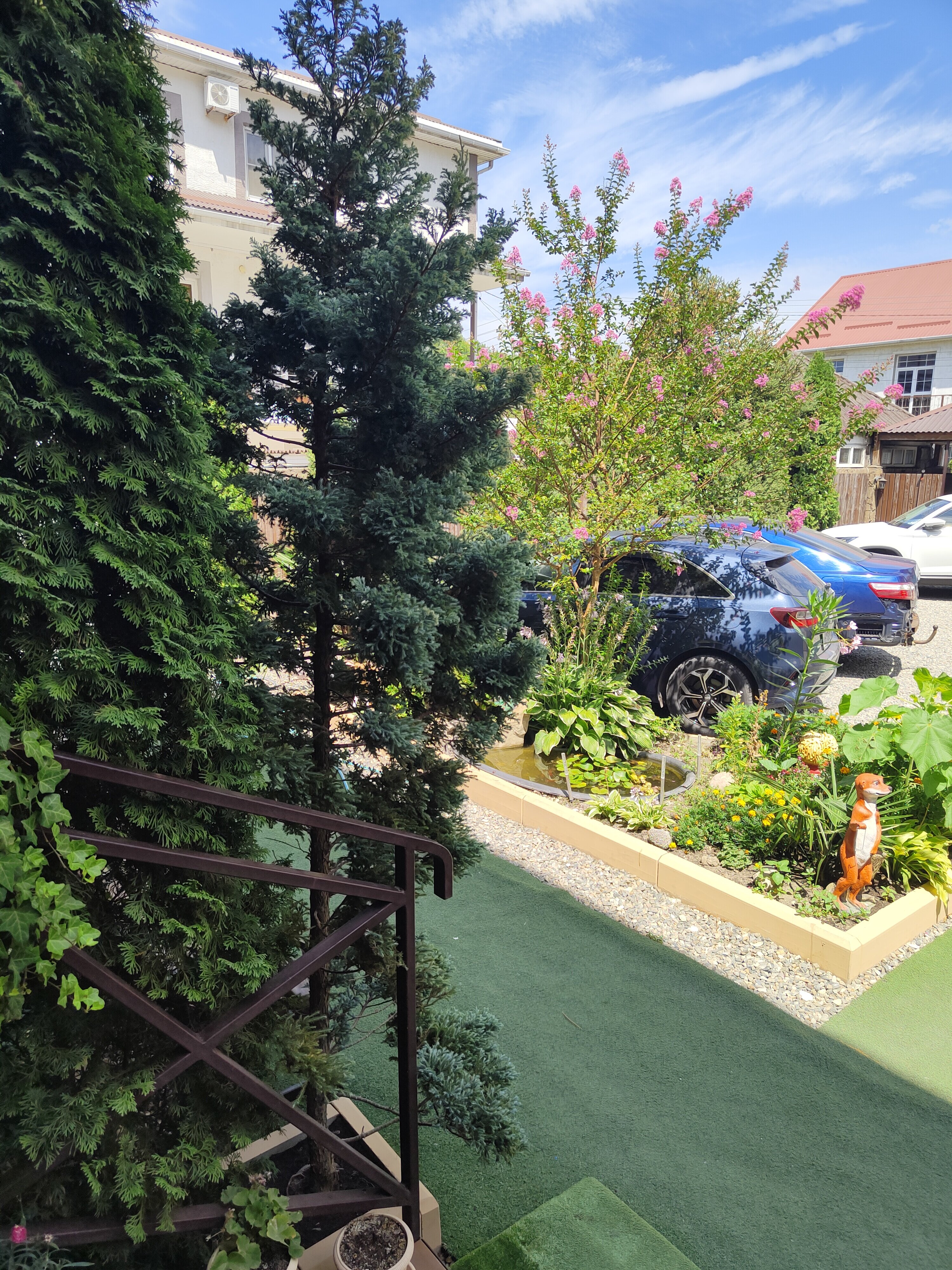 Фото Стефания