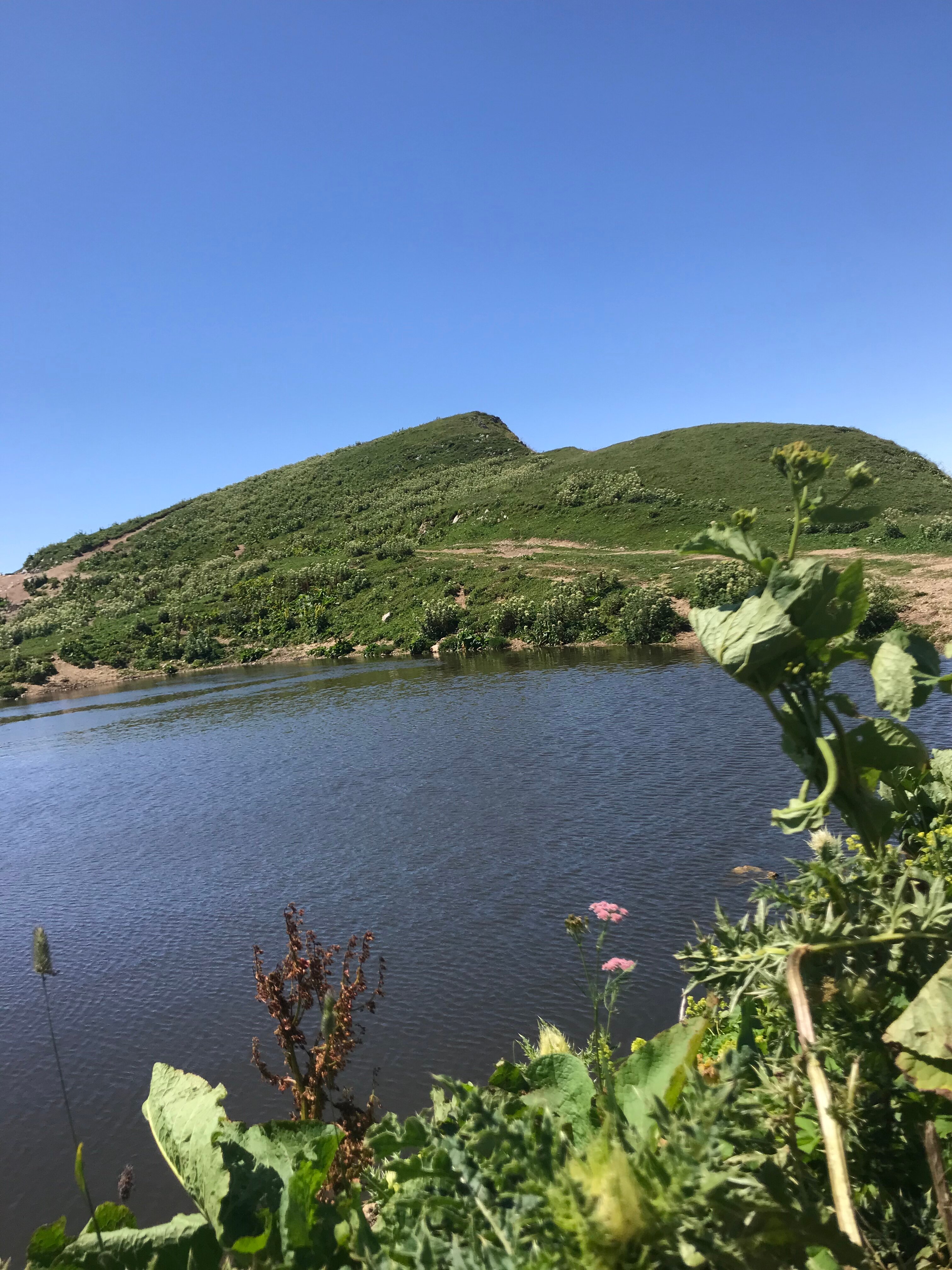 Фото Бунгало