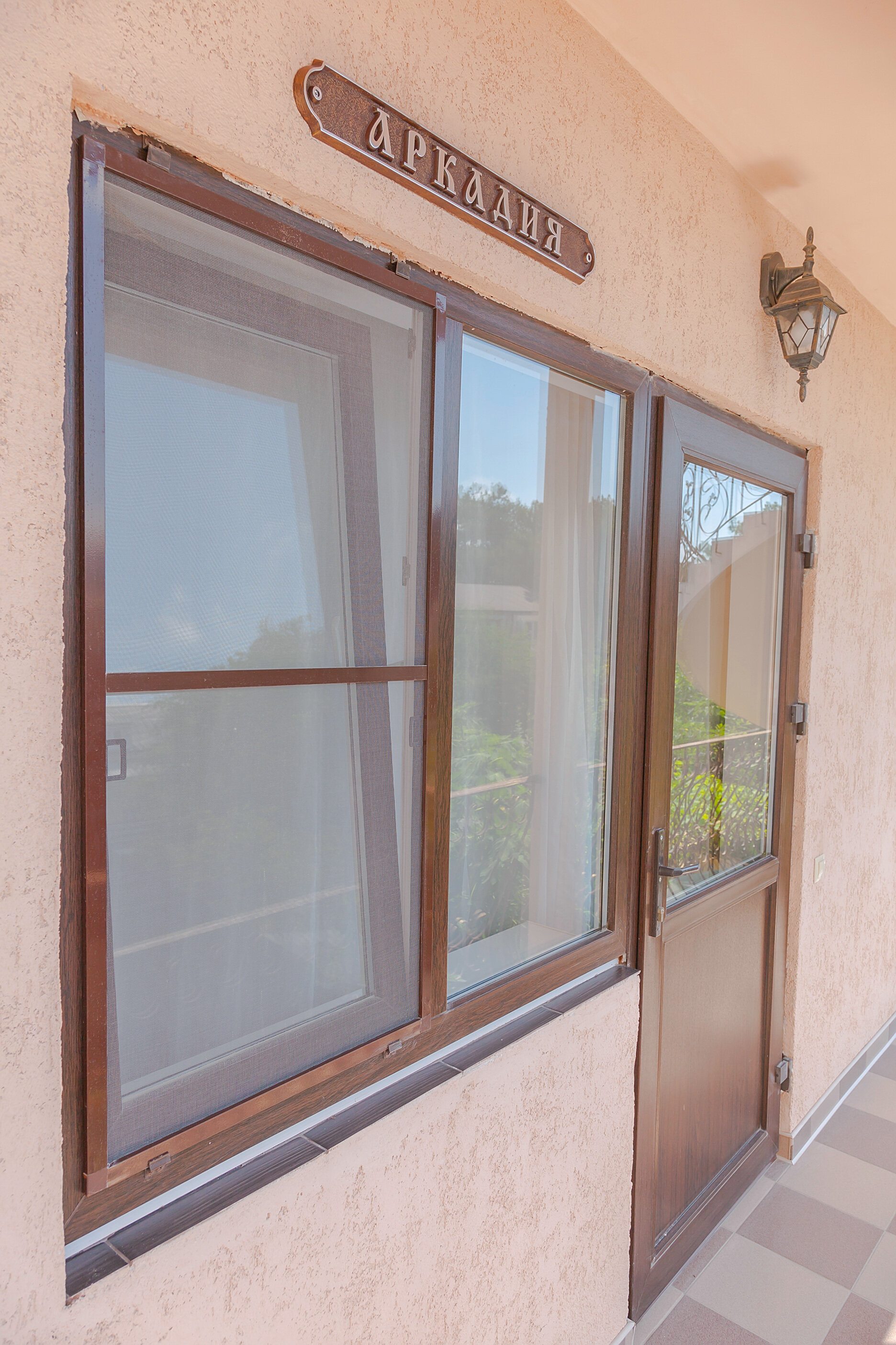 Фото Виноградная лестница