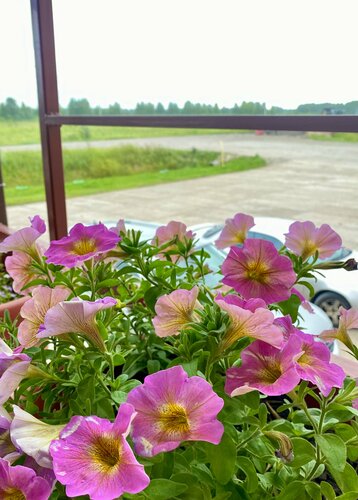 Гостиница Усадьба в Голышмановском районе