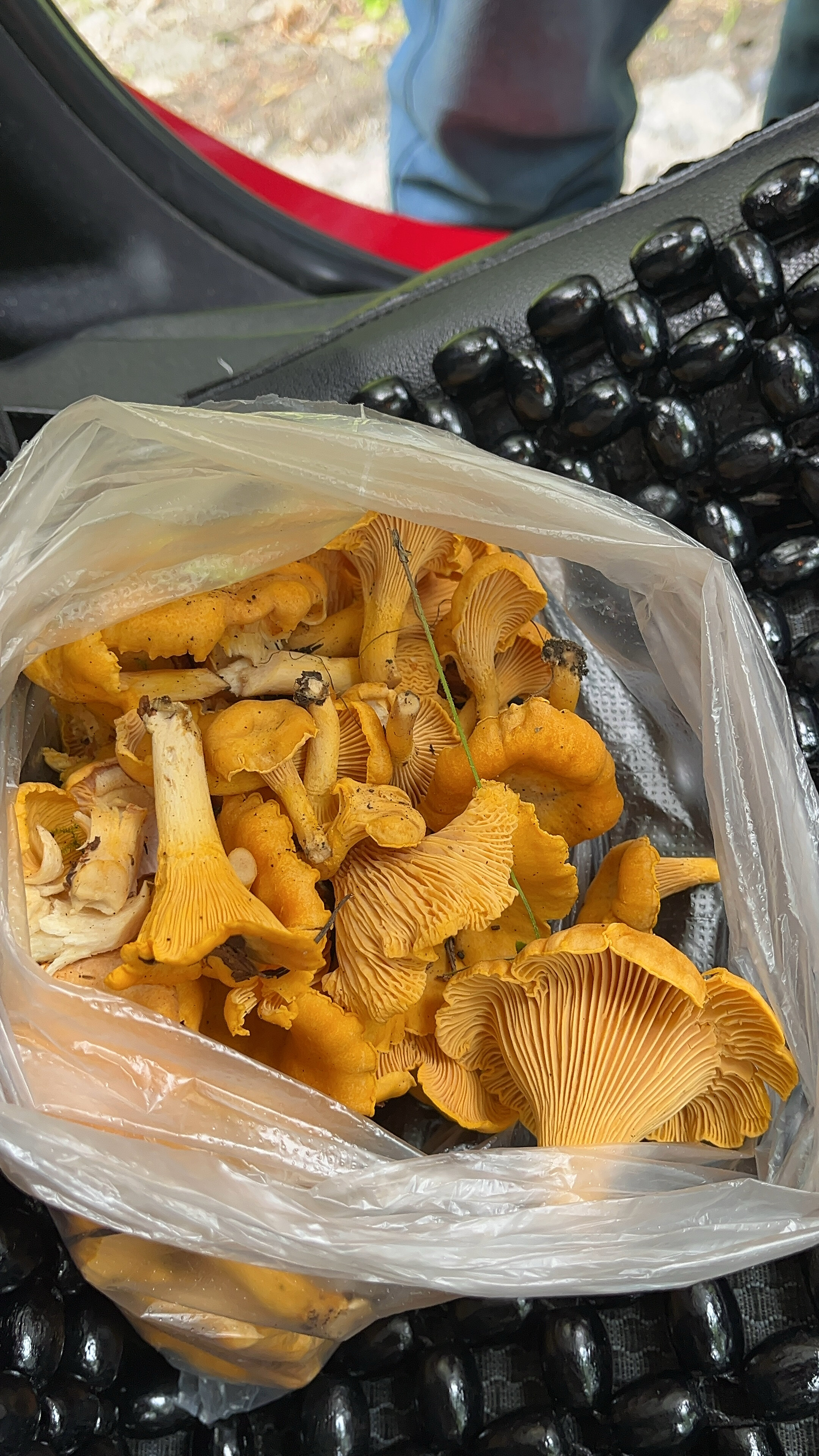 Фото Финский Хутор