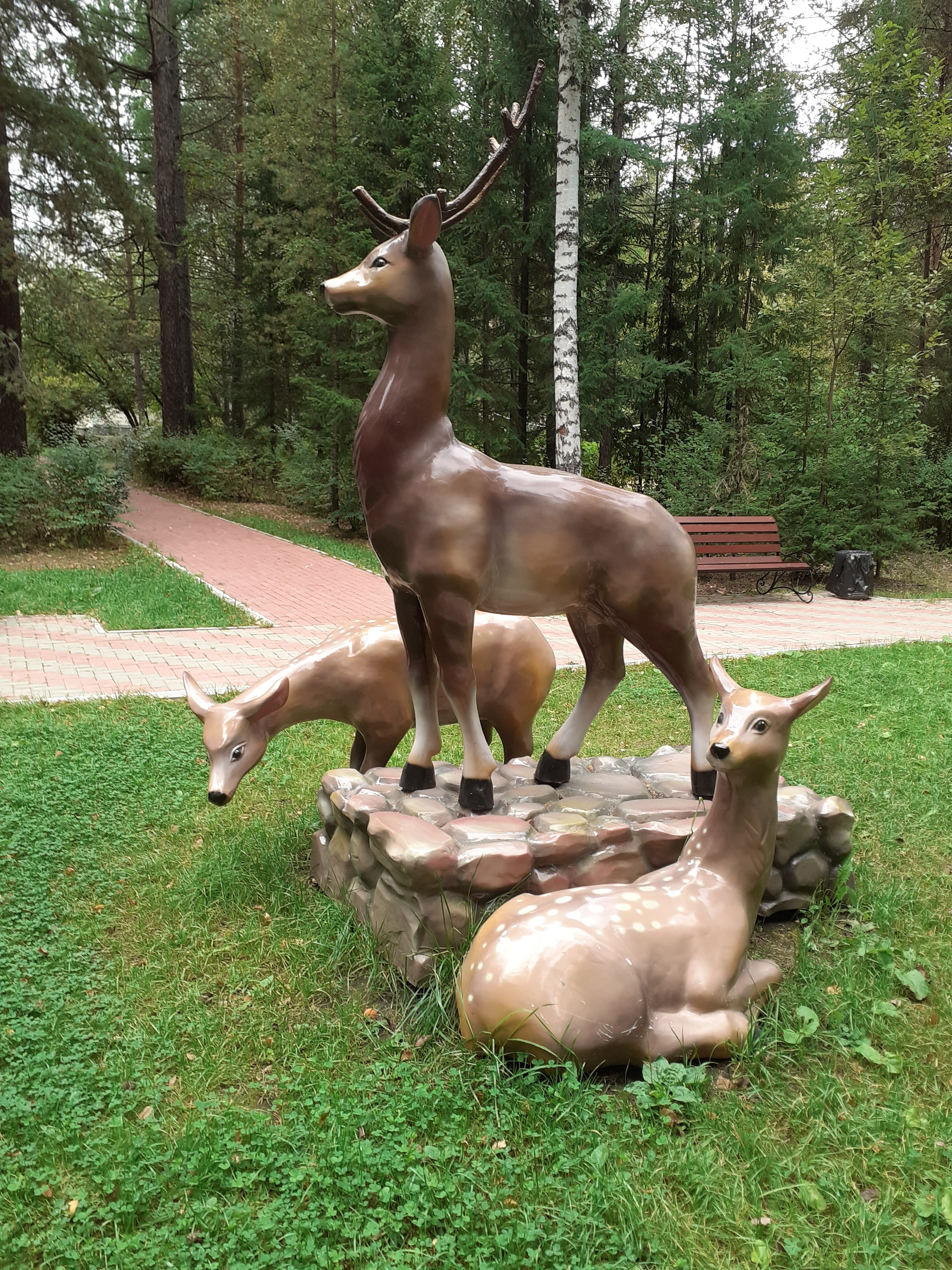 Фото Лесная сказка