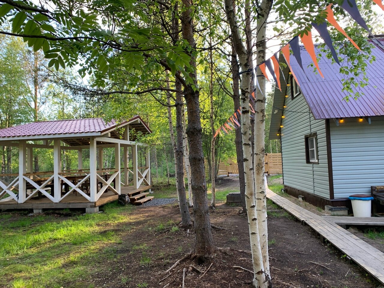 Фото Вереск