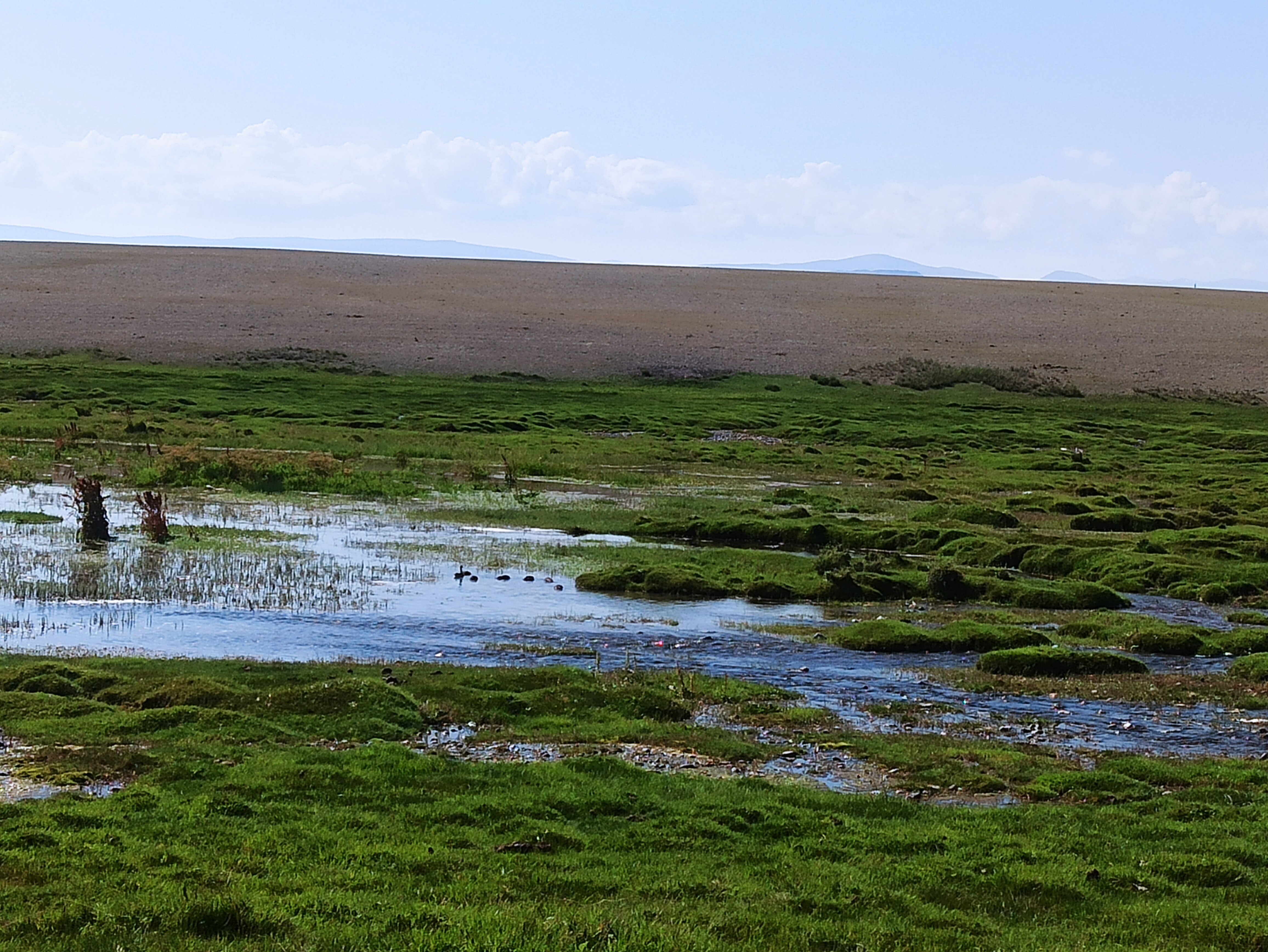 Фото Шум ручья