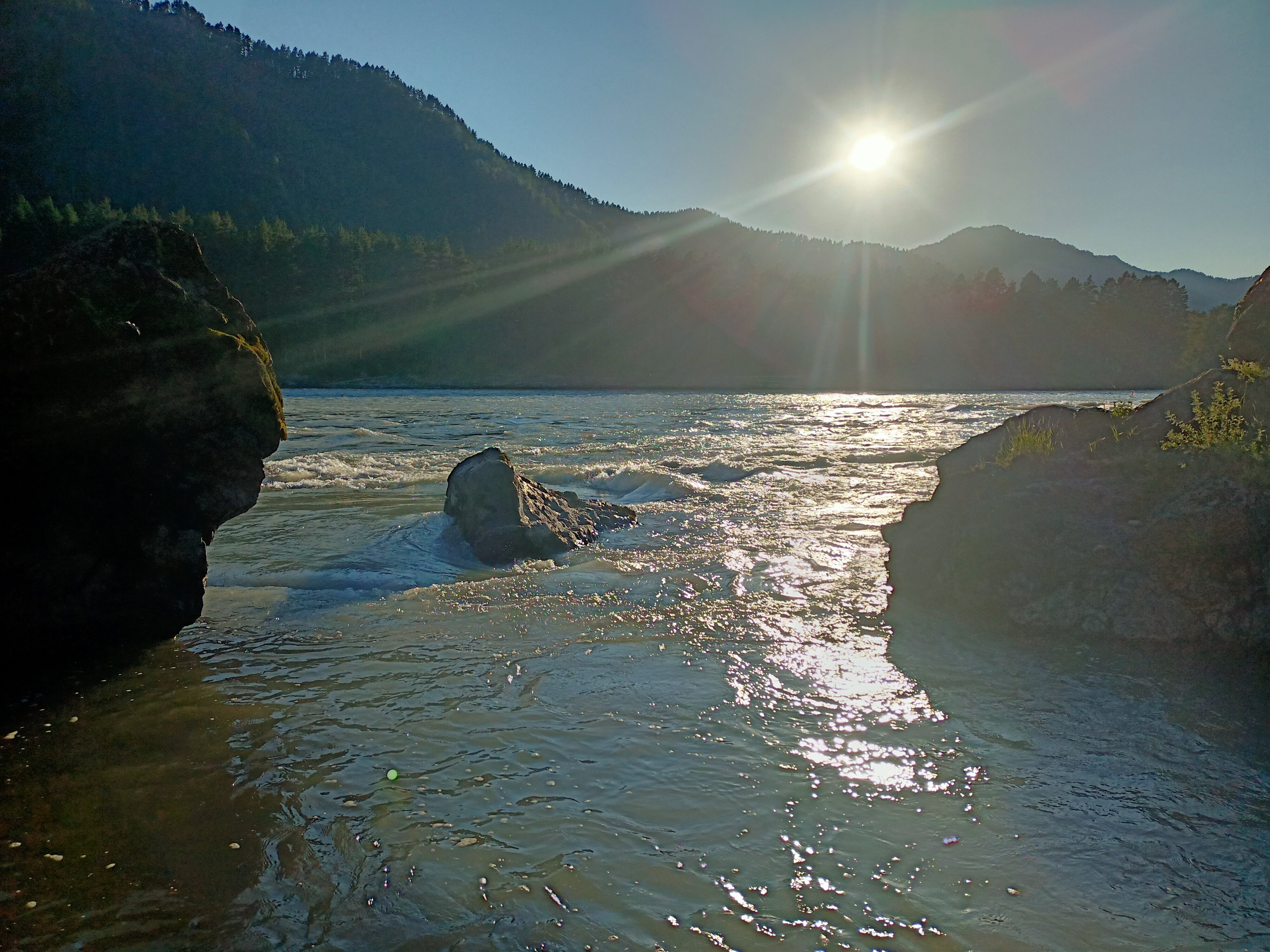 Фото Медведь и Ягодка