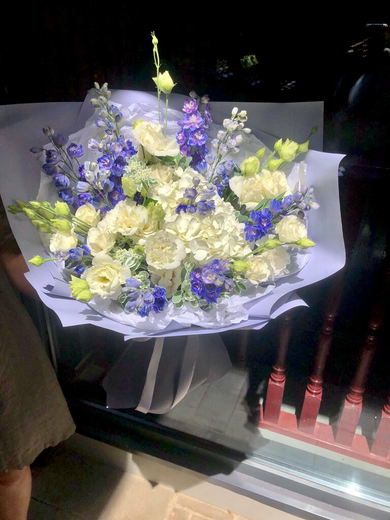 Алеся Манохина