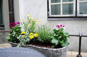 Хостел Хостел Красный Нос