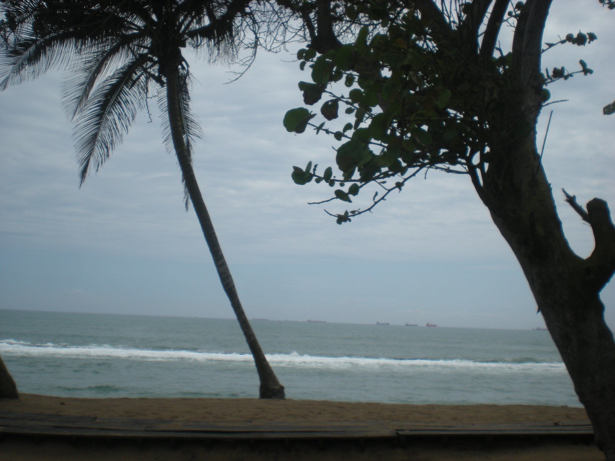 Фото New Robinson Plage