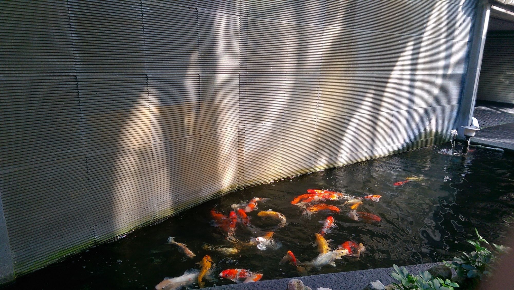 Фото Moonshy Boutique Motel