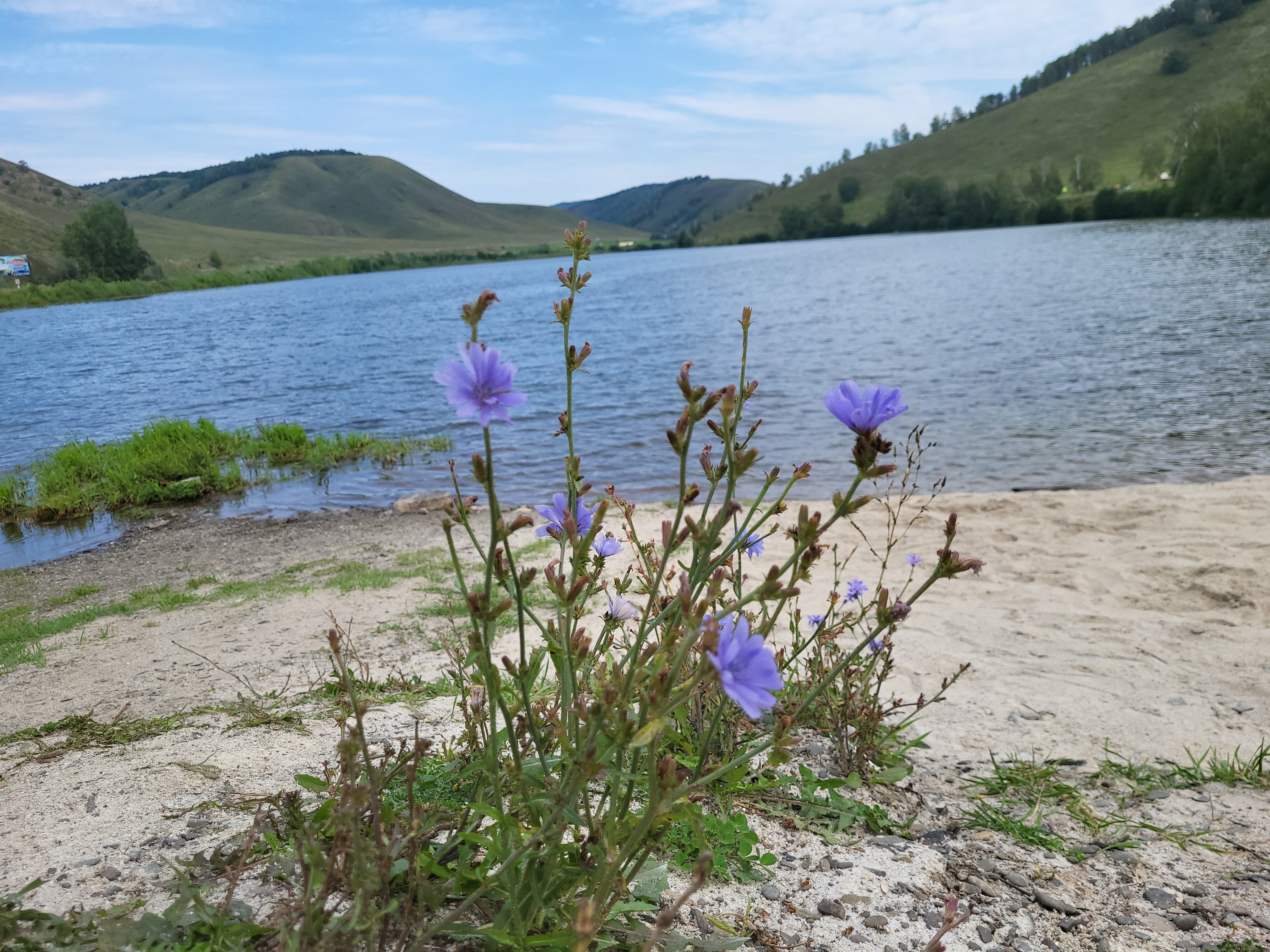 Фото Ямашла
