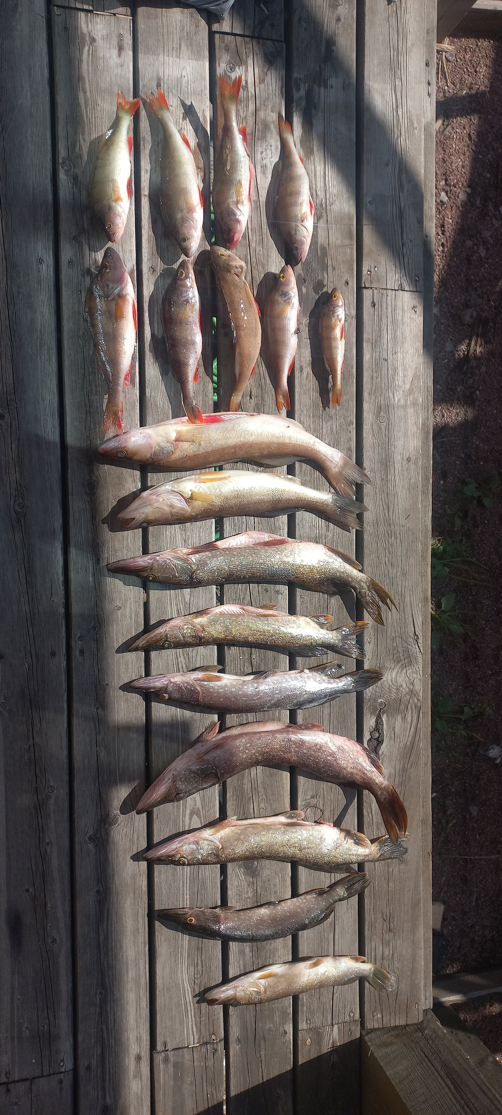 Фото Ладожский причал