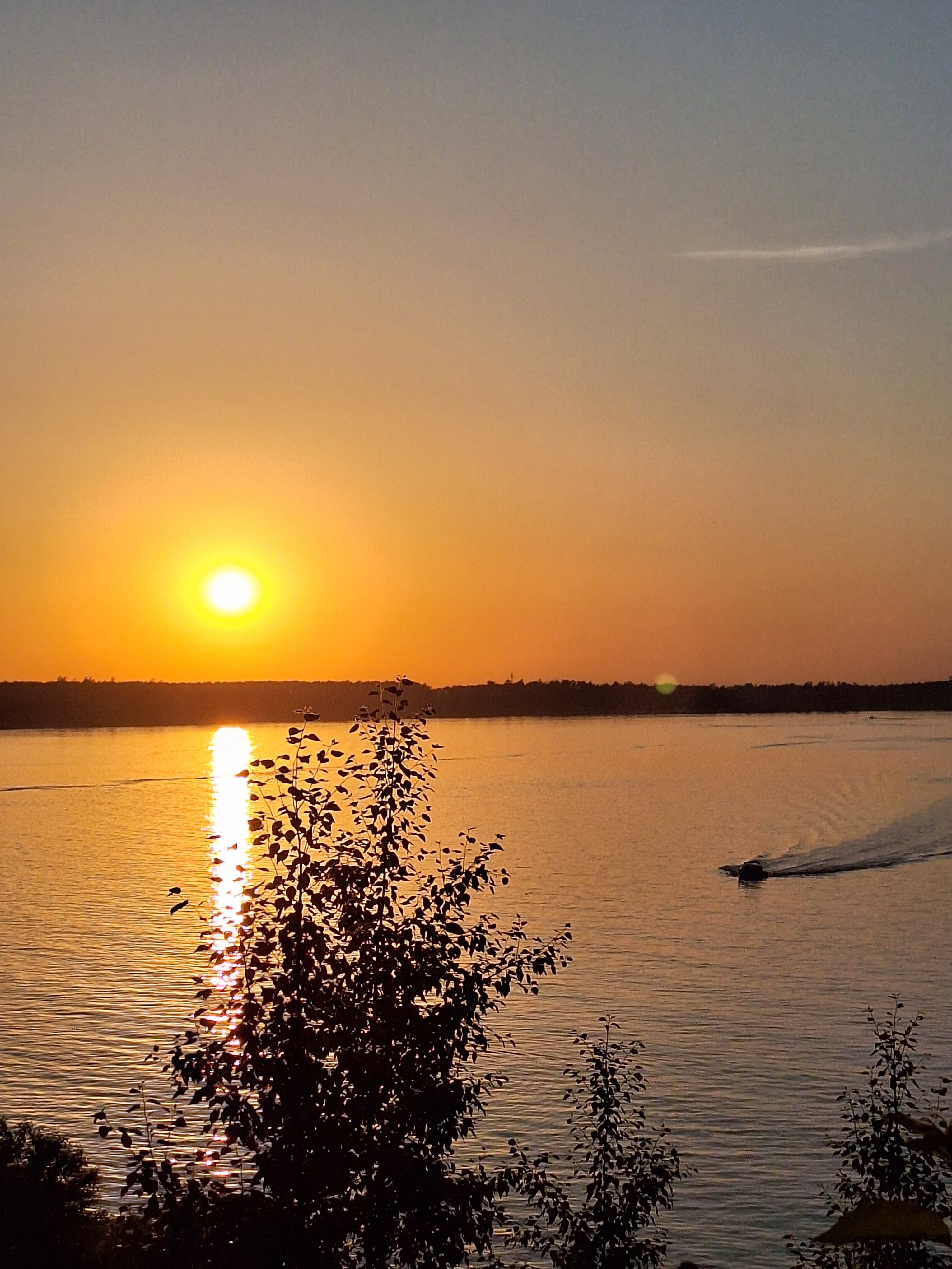 Фото Лесная сказка