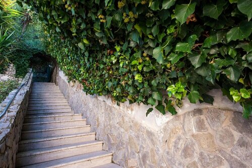 Гостиница Villa Ado in Sorrento