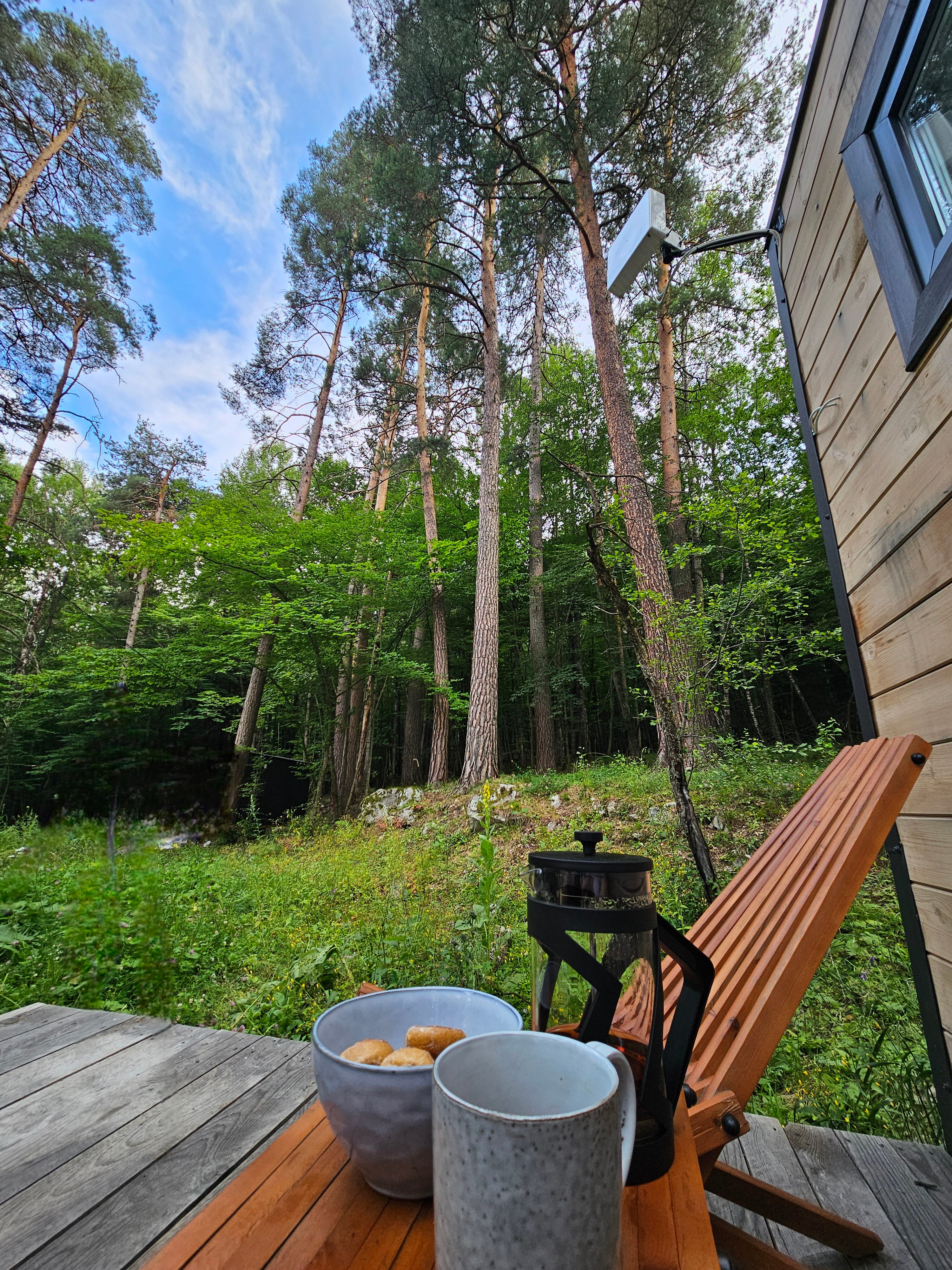 Фото Шелест