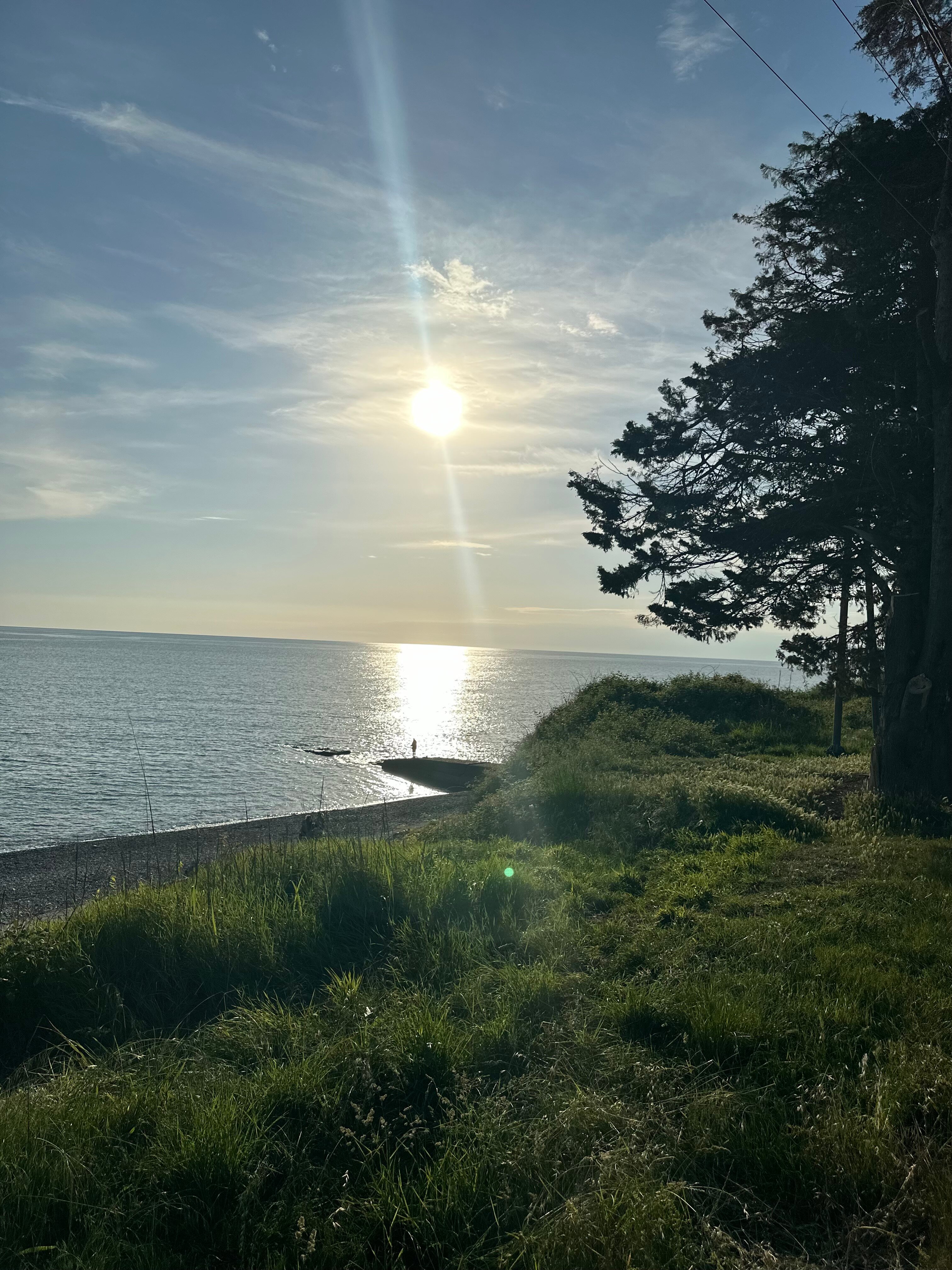 Фото Черный кот