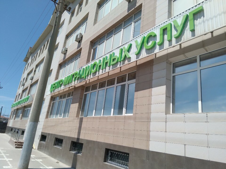 Екі тесік фотодағы ит стилі