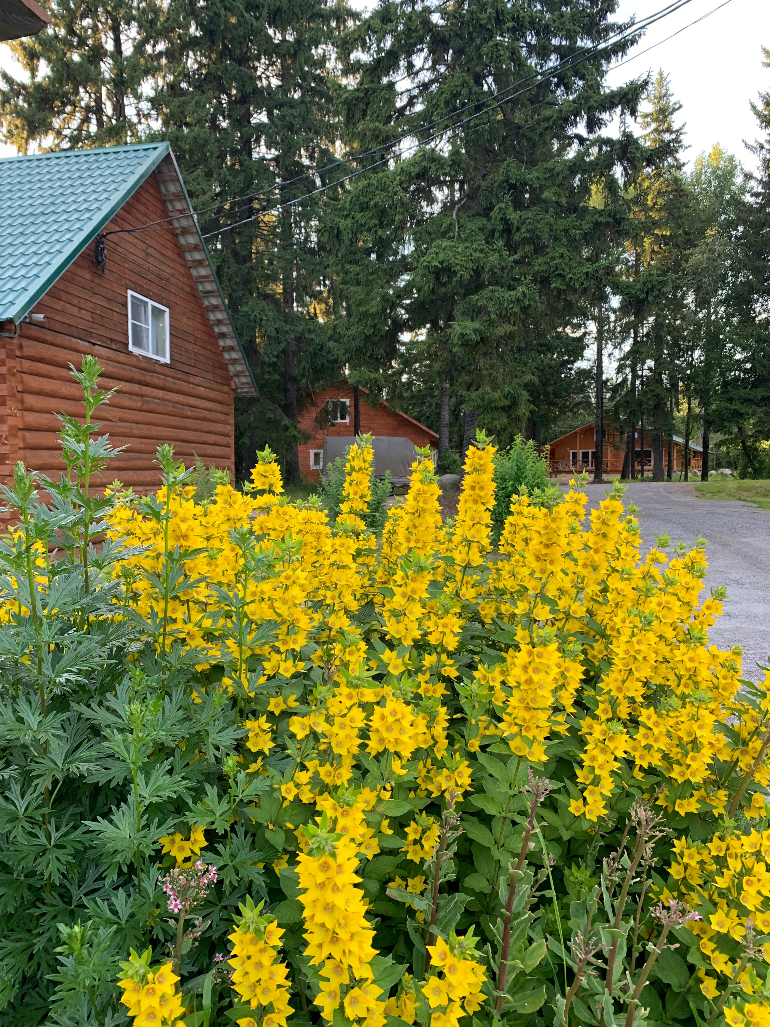 Фото Онежская гора
