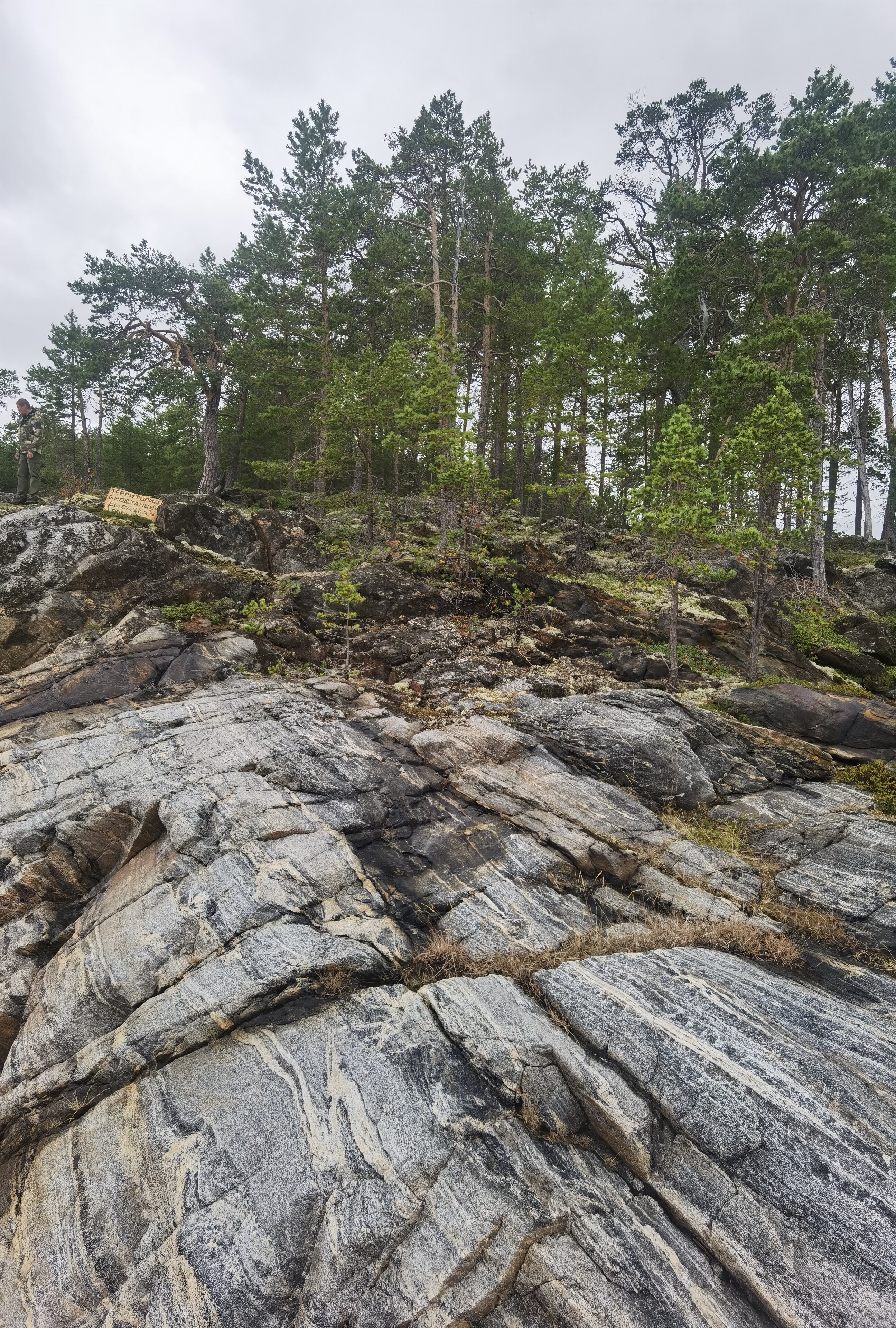 Фото Нереис