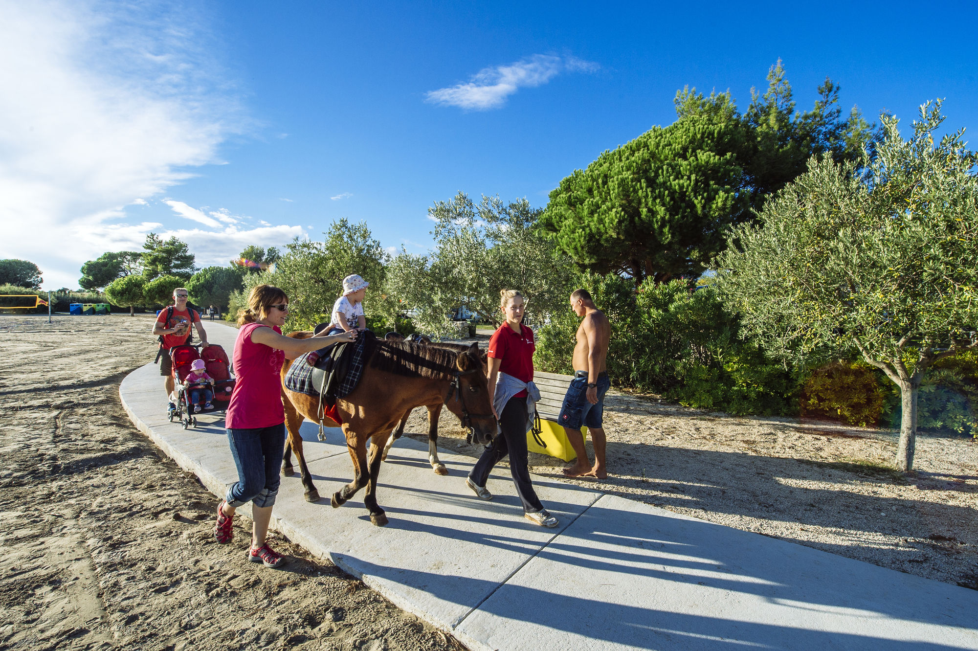 Фото Zaton Holiday Resort Apartments