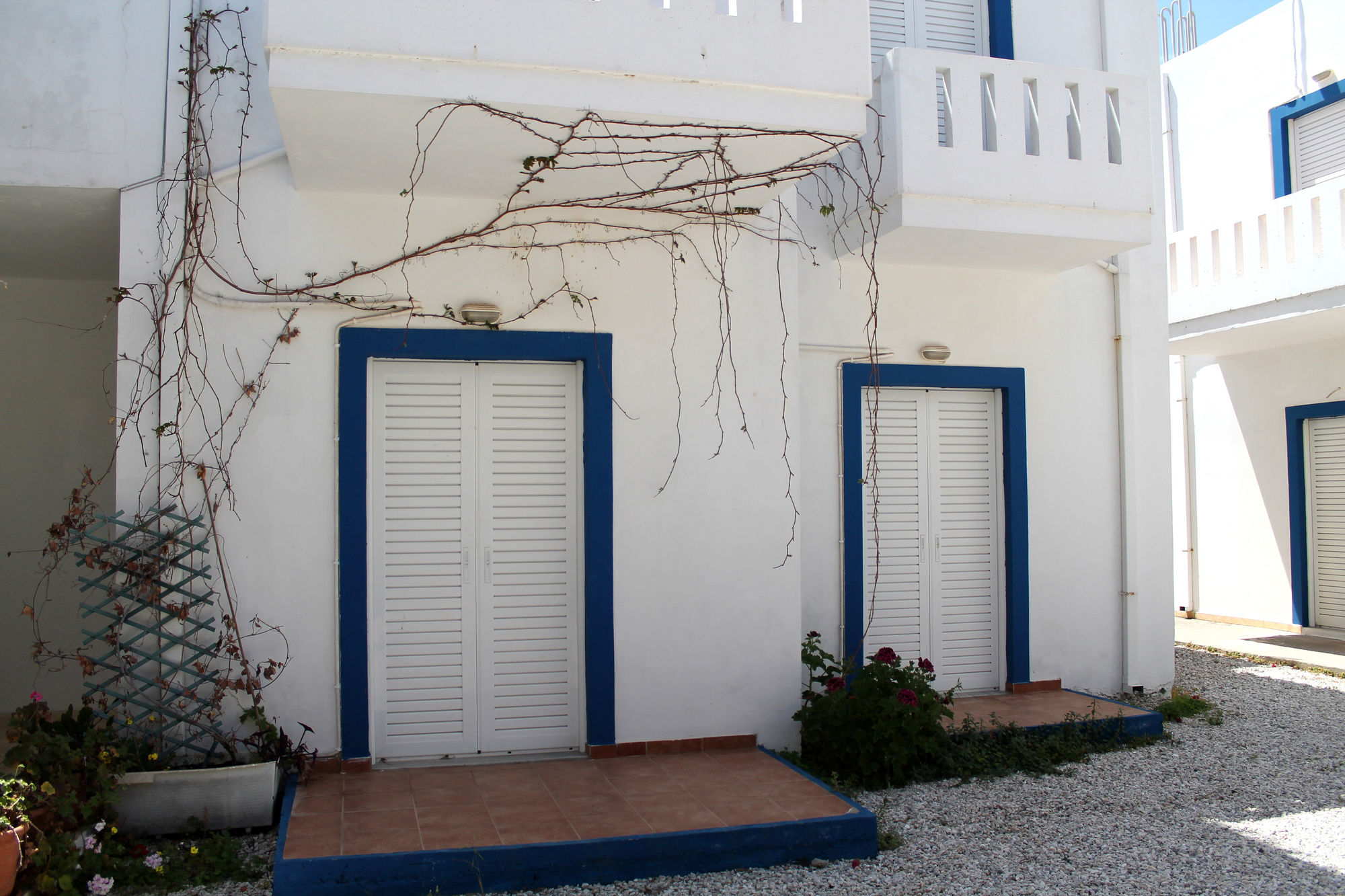 Фото Alexis Apartments