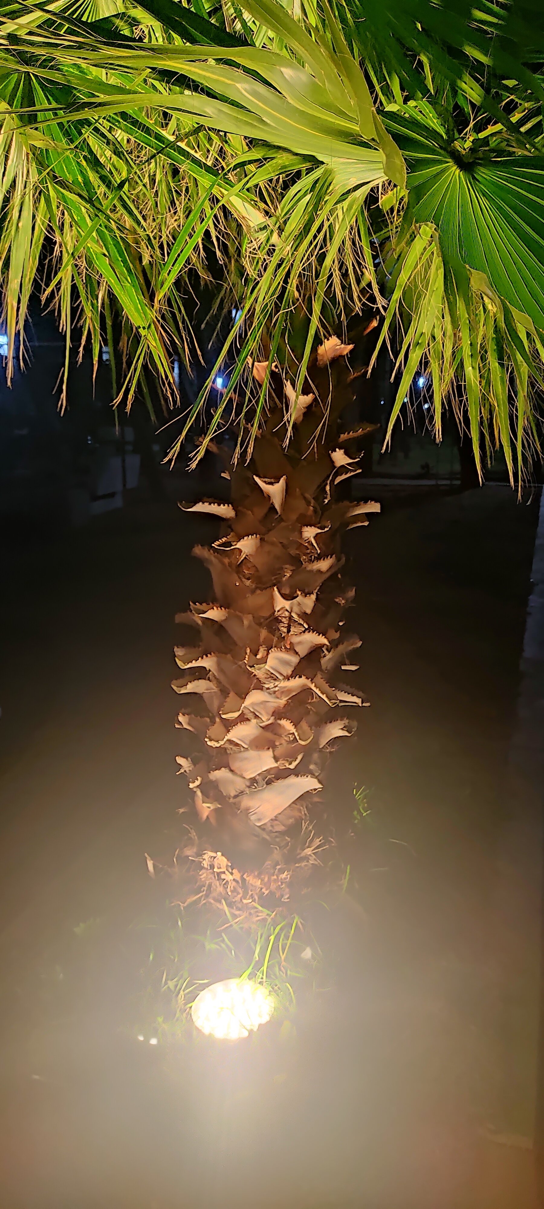 Фото Отель Irise