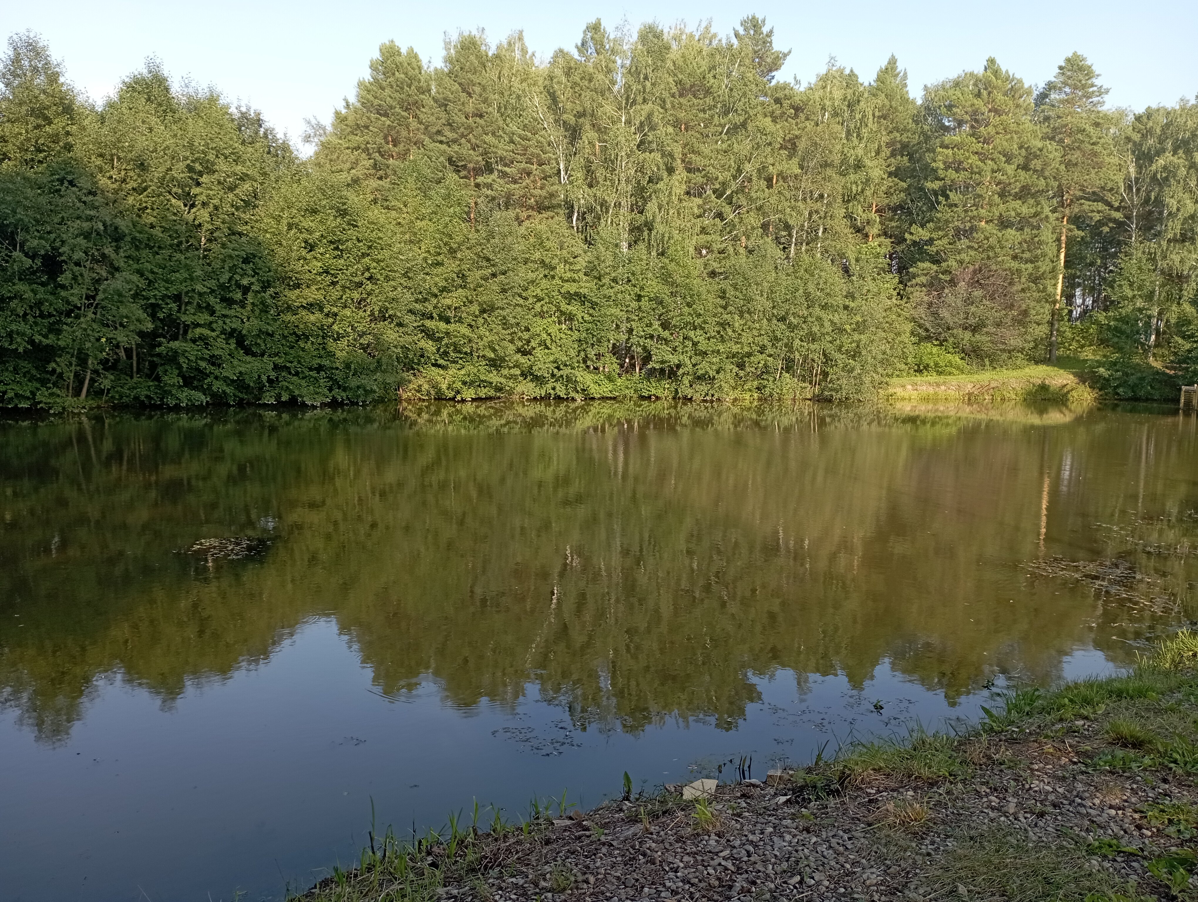 Фото Ромашкино