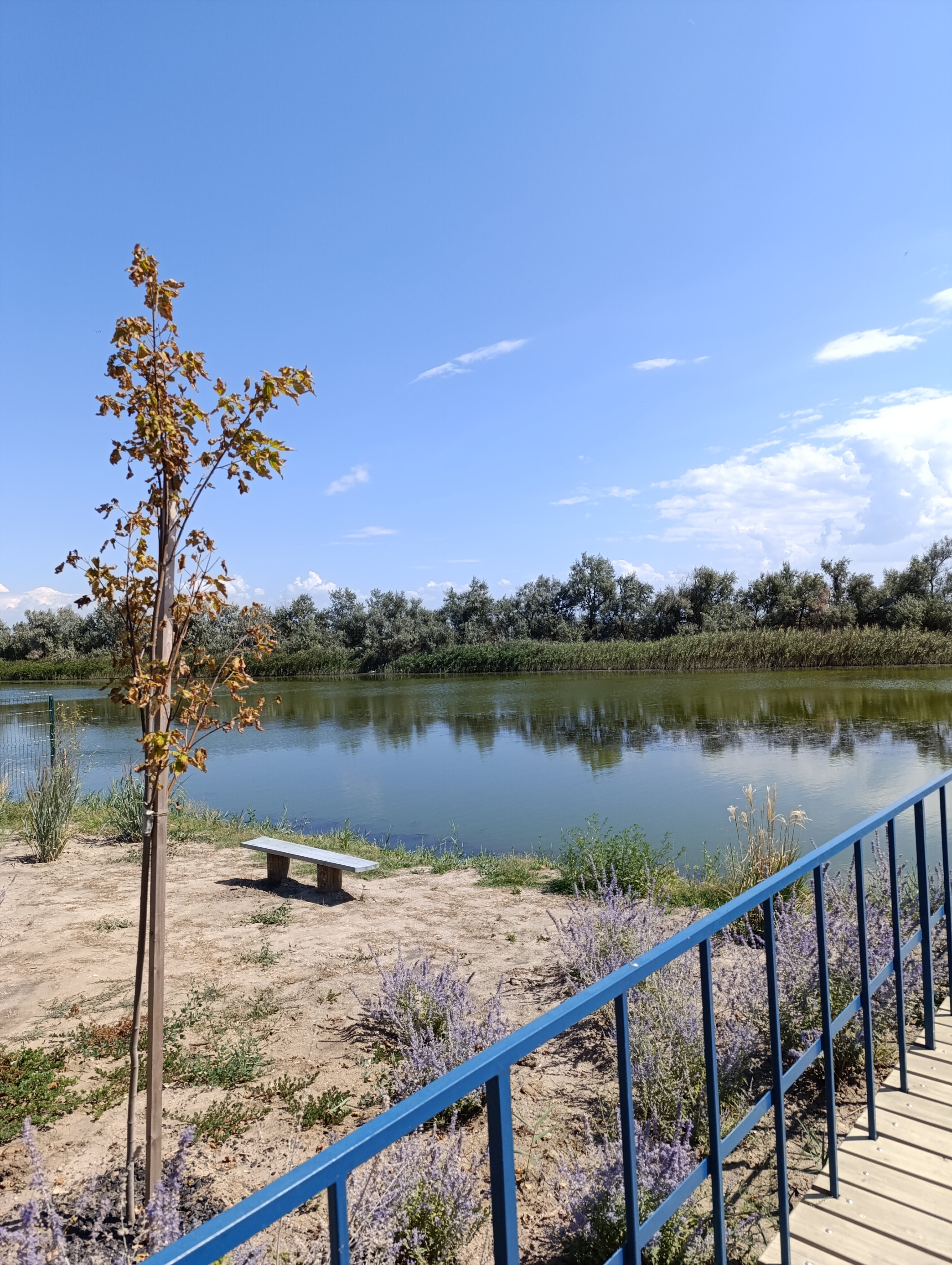 Фото Ботаники