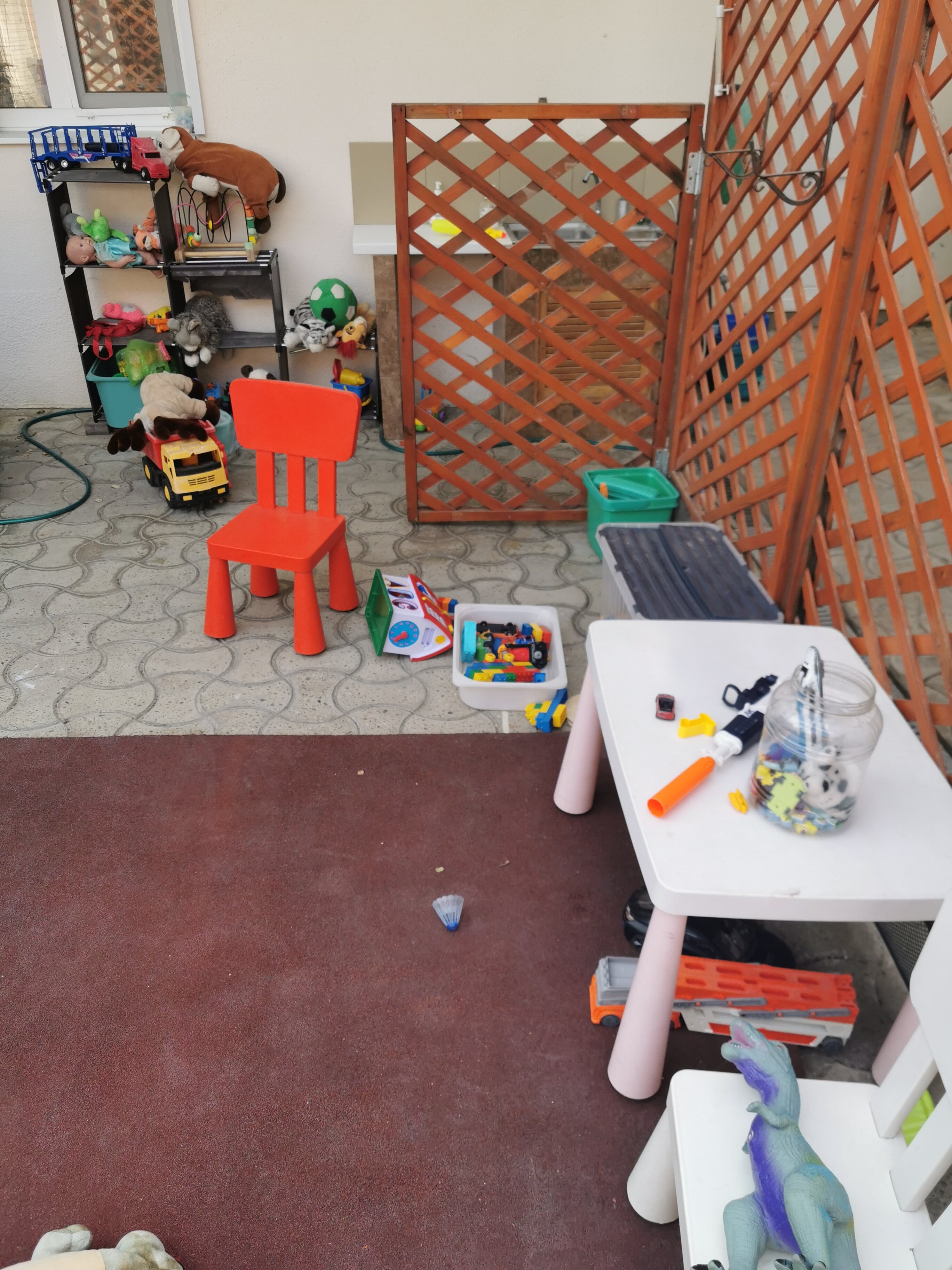 Фото Дельфиния