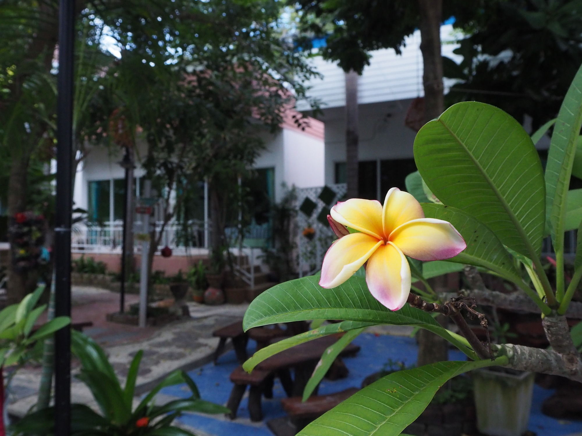 Фото Samed Seaside Resort