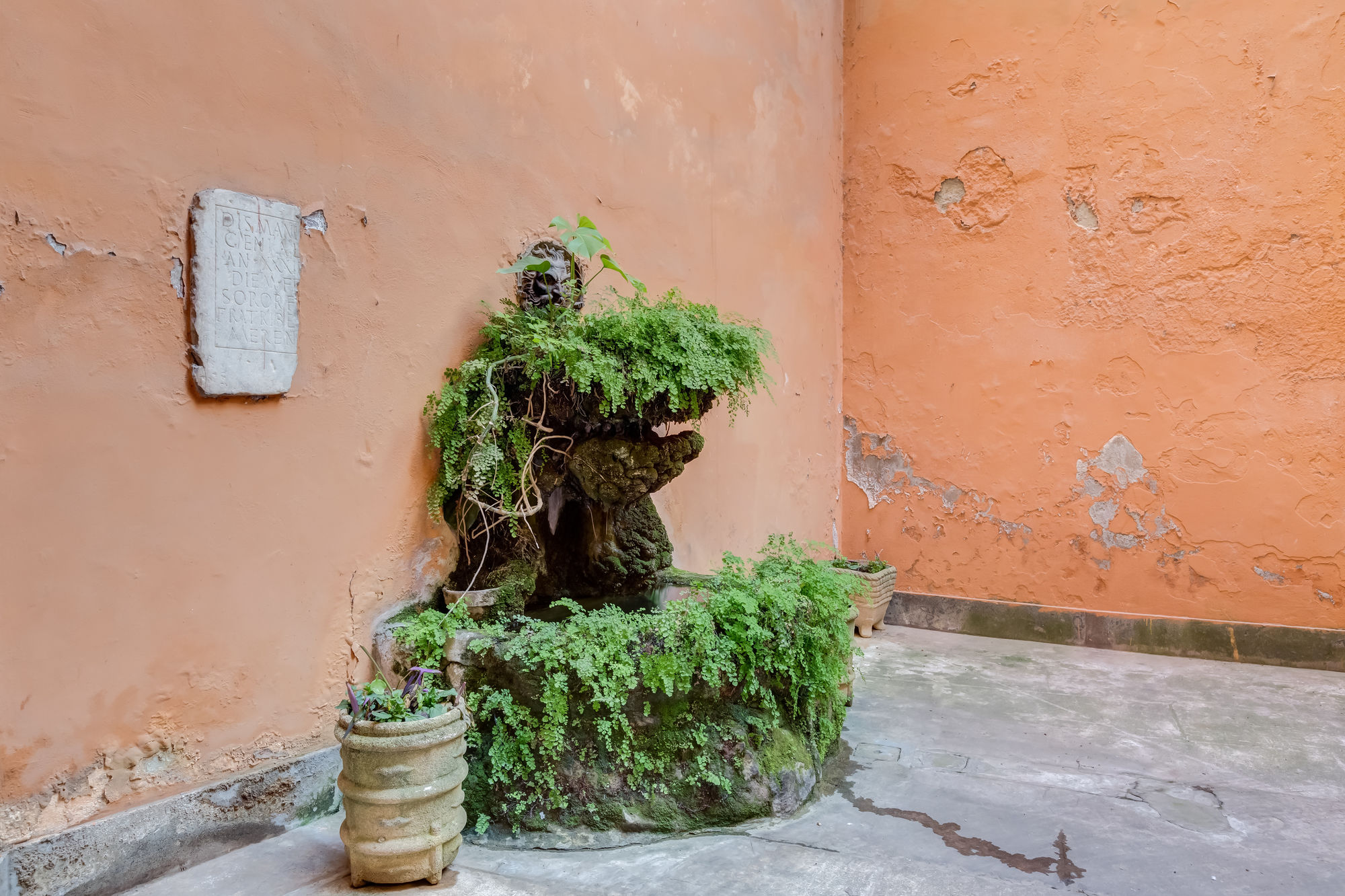 Фото Maison Degli Artisti Suites