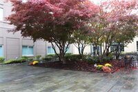 Фото Holiday Inn Budd Lake - Rockaway Area